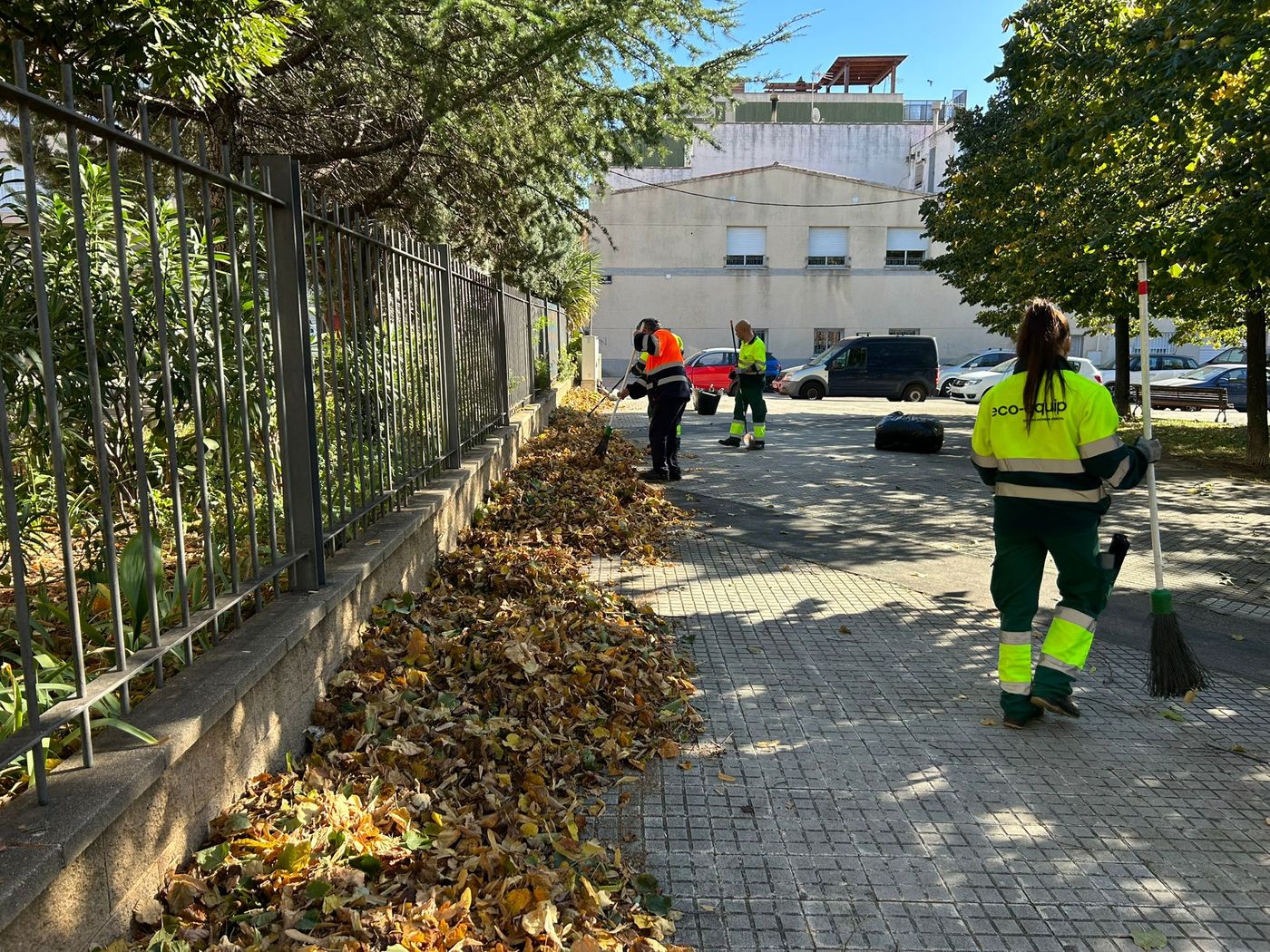 L'Ajuntament posa en marxa el dispositiu especial per a la retirada de fulles fins a mitjans de gener | Ajuntament de Terrassa