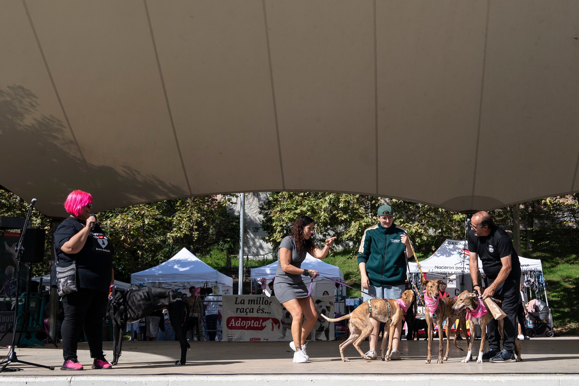La zona de la carpa del parc de Vallparadís ha acollit aquest dissabte un any més la celebració de la Festa dels Animals, que enguany coincideix amb el Dia Mundial dels Animals, una jornada internacional per reivindicar els seus drets i benestar. L’esdeveniment ha comptat amb paradetes d’una trentena d’entitats, premis de reconeixement socials, donacions, passejada per adoptar animals i un circuit d’agility