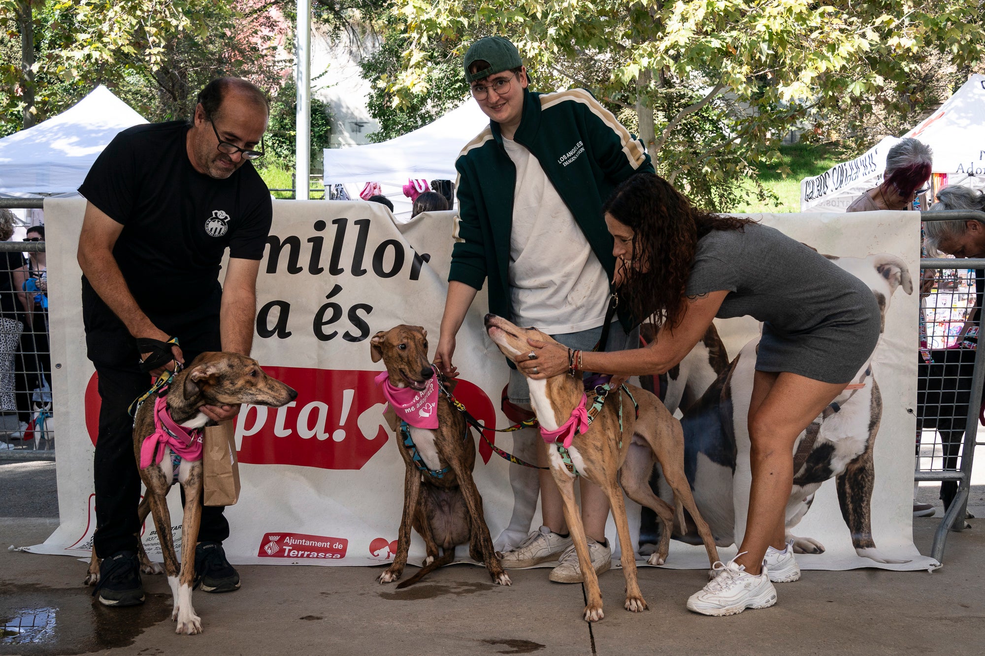 La zona de la carpa del parc de Vallparadís ha acollit aquest dissabte un any més la celebració de la Festa dels Animals, que enguany coincideix amb el Dia Mundial dels Animals, una jornada internacional per reivindicar els seus drets i benestar. L’esdeveniment ha comptat amb paradetes d’una trentena d’entitats, premis de reconeixement socials, donacions, passejada per adoptar animals i un circuit d’agility