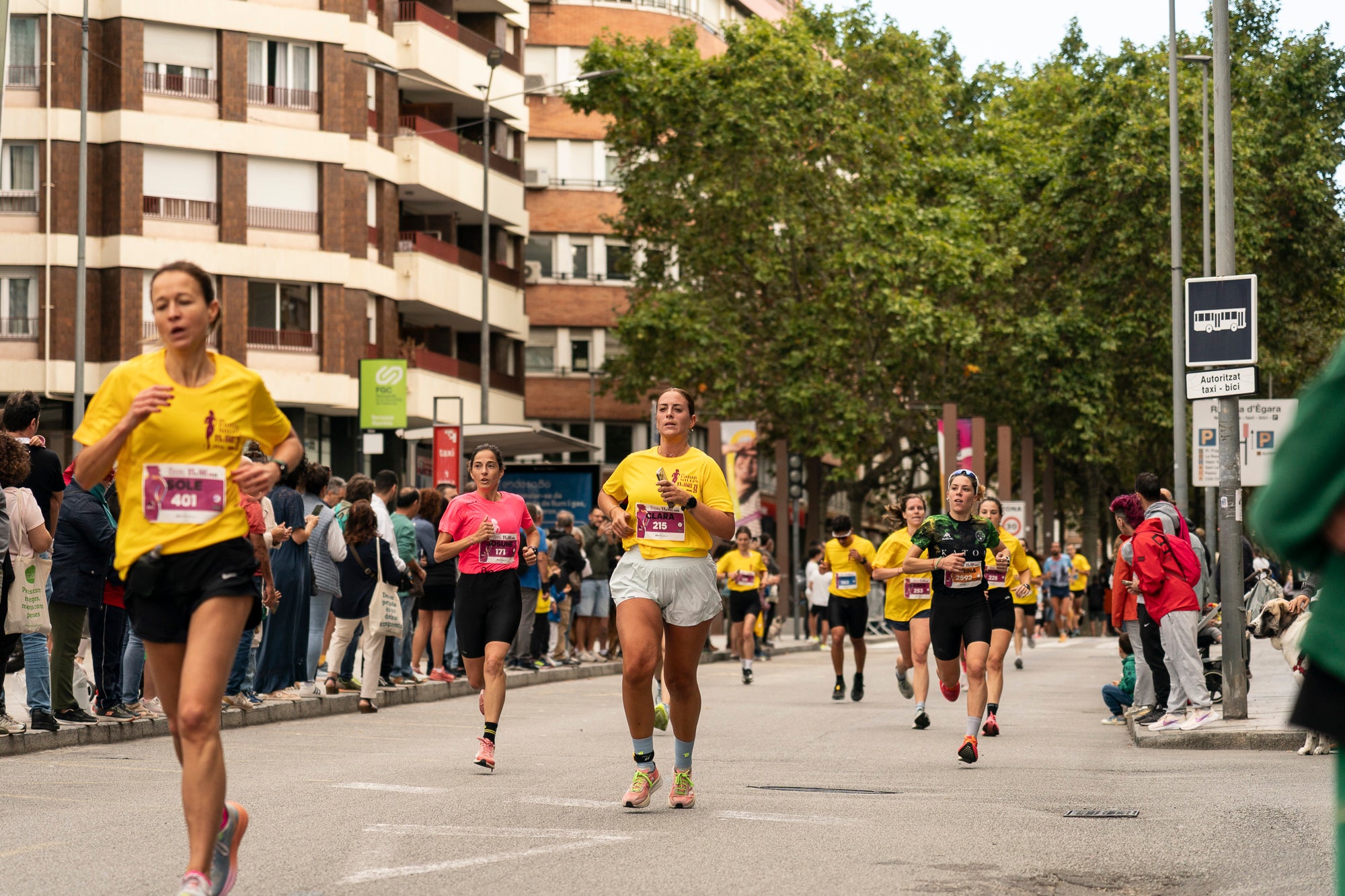 La 11a Cursa Fanny Sallés - Cursa de les Dones ha deixat una autèntica marea groga pel centre de Terrassa amb més de 2.600 participants. Amb arribada i sortida des del Parc dels Catalans, enguany s’estrenava recorregut, amb prop de 5km pels punts més emblemàtics de la ciutat. I malgrat que les marques eren el de menys en un esdeveniment amb caràcter solidari amb Oncolliga, cal destacar que Maria Ruiz (19:09) i Jan Isla (16:11) han estat els vencedors.
