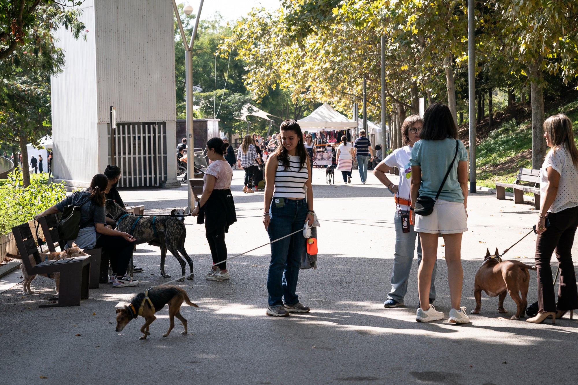 La zona de la carpa del parc de Vallparadís ha acollit aquest dissabte un any més la celebració de la Festa dels Animals, que enguany coincideix amb el Dia Mundial dels Animals, una jornada internacional per reivindicar els seus drets i benestar. L’esdeveniment ha comptat amb paradetes d’una trentena d’entitats, premis de reconeixement socials, donacions, passejada per adoptar animals i un circuit d’agility