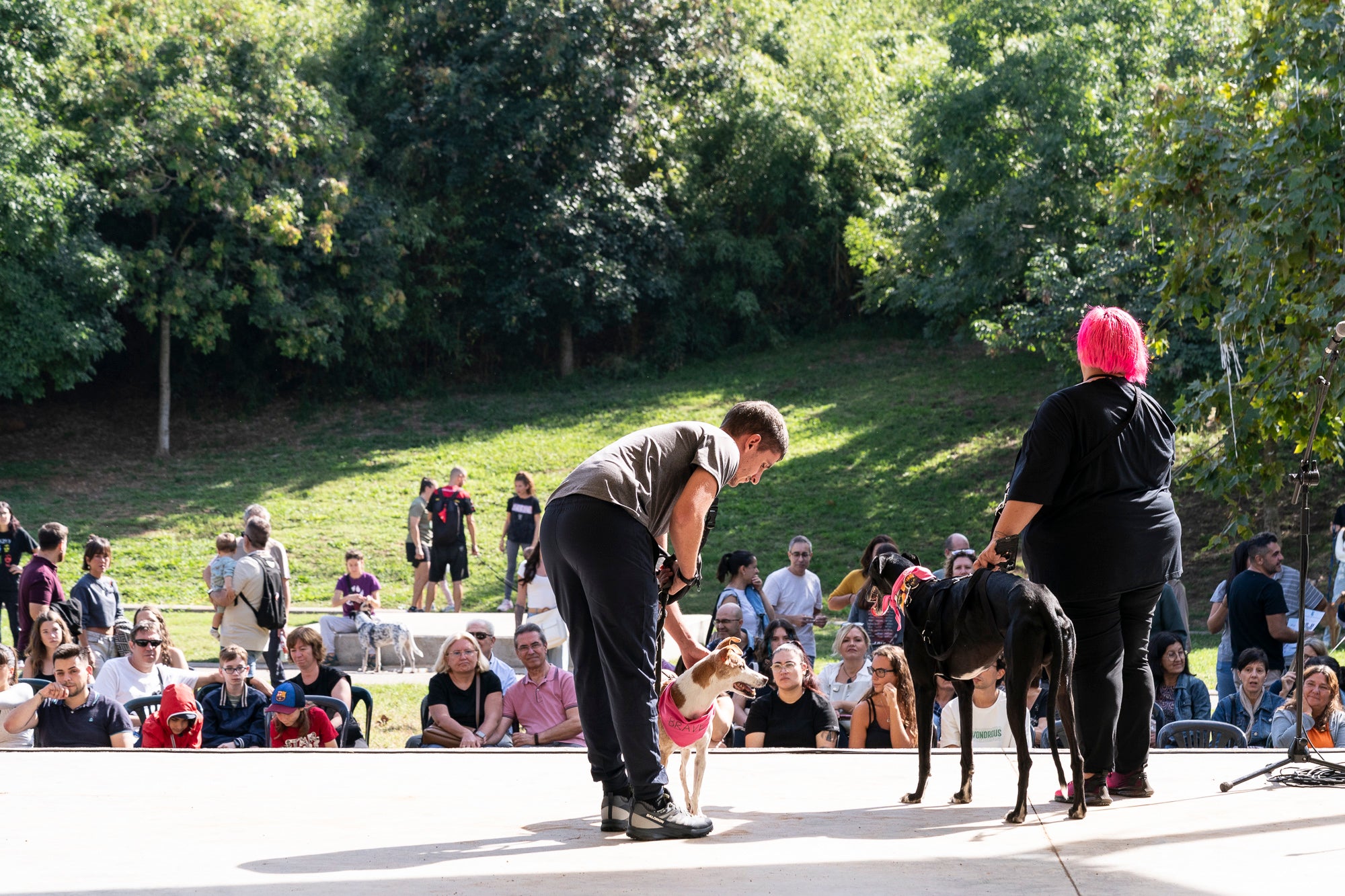 La zona de la carpa del parc de Vallparadís ha acollit aquest dissabte un any més la celebració de la Festa dels Animals, que enguany coincideix amb el Dia Mundial dels Animals, una jornada internacional per reivindicar els seus drets i benestar. L’esdeveniment ha comptat amb paradetes d’una trentena d’entitats, premis de reconeixement socials, donacions, passejada per adoptar animals i un circuit d’agility