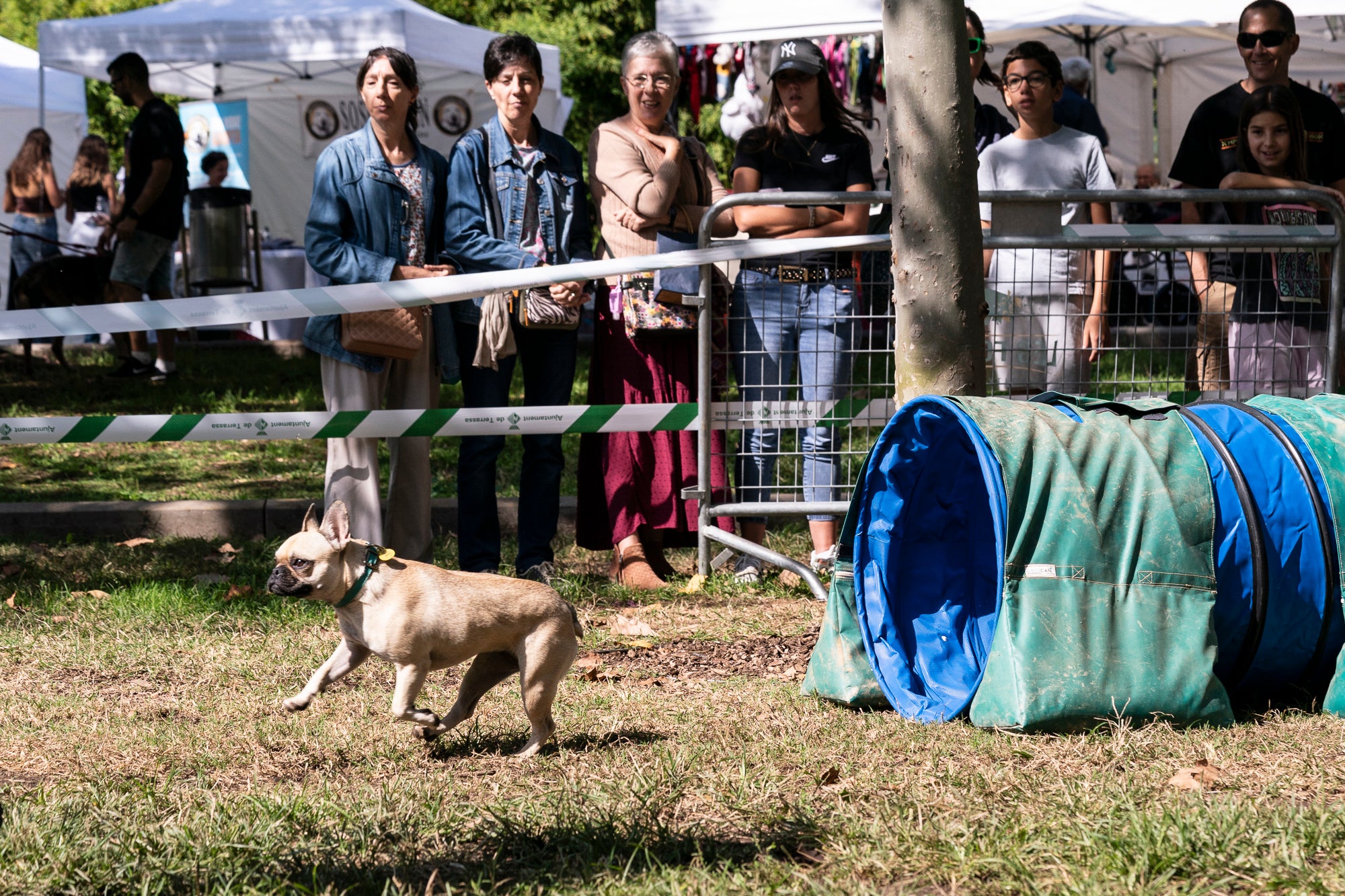La zona de la carpa del parc de Vallparadís ha acollit aquest dissabte un any més la celebració de la Festa dels Animals, que enguany coincideix amb el Dia Mundial dels Animals, una jornada internacional per reivindicar els seus drets i benestar. L’esdeveniment ha comptat amb paradetes d’una trentena d’entitats, premis de reconeixement socials, donacions, passejada per adoptar animals i un circuit d’agility