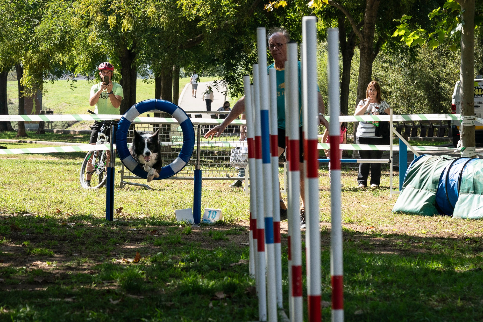 La zona de la carpa del parc de Vallparadís ha acollit aquest dissabte un any més la celebració de la Festa dels Animals, que enguany coincideix amb el Dia Mundial dels Animals, una jornada internacional per reivindicar els seus drets i benestar. L’esdeveniment ha comptat amb paradetes d’una trentena d’entitats, premis de reconeixement socials, donacions, passejada per adoptar animals i un circuit d’agility