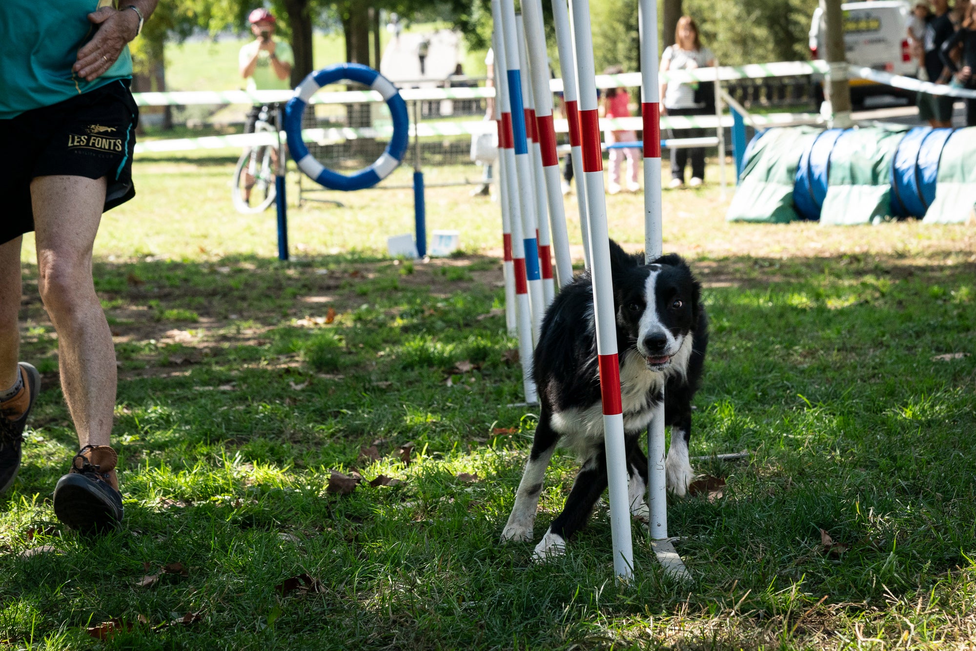 La zona de la carpa del parc de Vallparadís ha acollit aquest dissabte un any més la celebració de la Festa dels Animals, que enguany coincideix amb el Dia Mundial dels Animals, una jornada internacional per reivindicar els seus drets i benestar. L’esdeveniment ha comptat amb paradetes d’una trentena d’entitats, premis de reconeixement socials, donacions, passejada per adoptar animals i un circuit d’agility