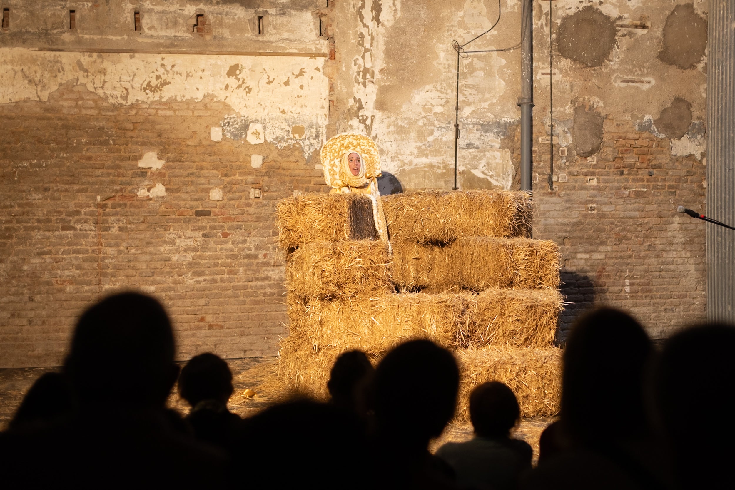 Durant tres dies, la divuitena edició del festival Terrassa Noves Tendències (TNT) ha tornat a situar Terrassa en l'epicentre de les arts escèniques més innovadores, amb la presència d'un centenar de programadors catalans, una vintena d'espanyols i una altra vintena d'internacionals. Per ordre fotogràfic, els espectacles: Fasting Girls (Marta Azparren), Les Chevaliers 2 (Los Detectives), No ser ni la sombra de lo que se fue (María Jerez), P.O.V. (Núria Guiu), Sirenes i robots (Tarta Relena/Joan Llort), Mamarratxa Attack (Julia Irango), La fuerza de la gravedad (Martín Flores Cárdenas), Ser pastora (Laura Morales), Un món de cartró (CreaMoviment), la directora del TNT Marion Betriu, públic professional, públic general, Incendis (Ça Marche) i Down (Mélissa Guex) | Alessia Bombaci