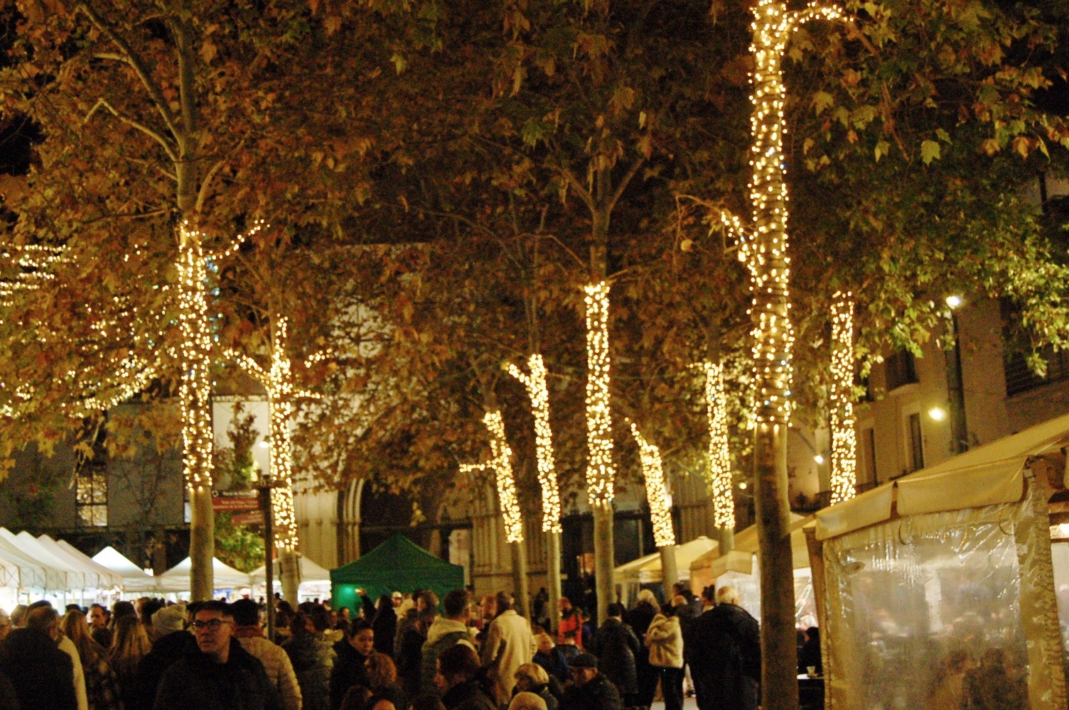 Terrassa ha celebrat aquest dissabte, dia 29 de novembre, al vespre l'acte d'encesa de l'enllumenat nadalenc, una jornada que esdevé el tret de sortida al Nadal a la ciutat. Enguany, l'Ajuntament ha apostat per incrementar en prop de 200 punts els elements lumínics al carrer, arribant a gairebé 1.400 punts de llum de Nadal. A més, aquest dissabte també s'ha inaugurat el pesebre de Nadal, elaborat pel pessebrista Ricard Verdaguer | Ramon Navarro