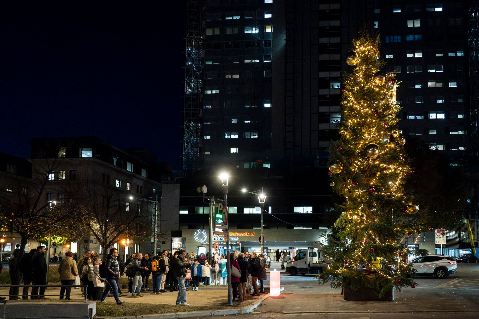 Terrassa es vesteix de màgia un any més amb arbres de Nadal repartits per diversos punts de la ciutat. Cada espai té el seu encant especial i converteix els carrers en un recorregut ple de llum, color i esperit nadalenc. En total, són sis arbres situats a Raval de Montserrat, Plaça del Doctor Robert, Plaça de Can Palet, Monument de la Dona, Plaça del Roc Blanc i Agustí Bartra | Mireia Comas