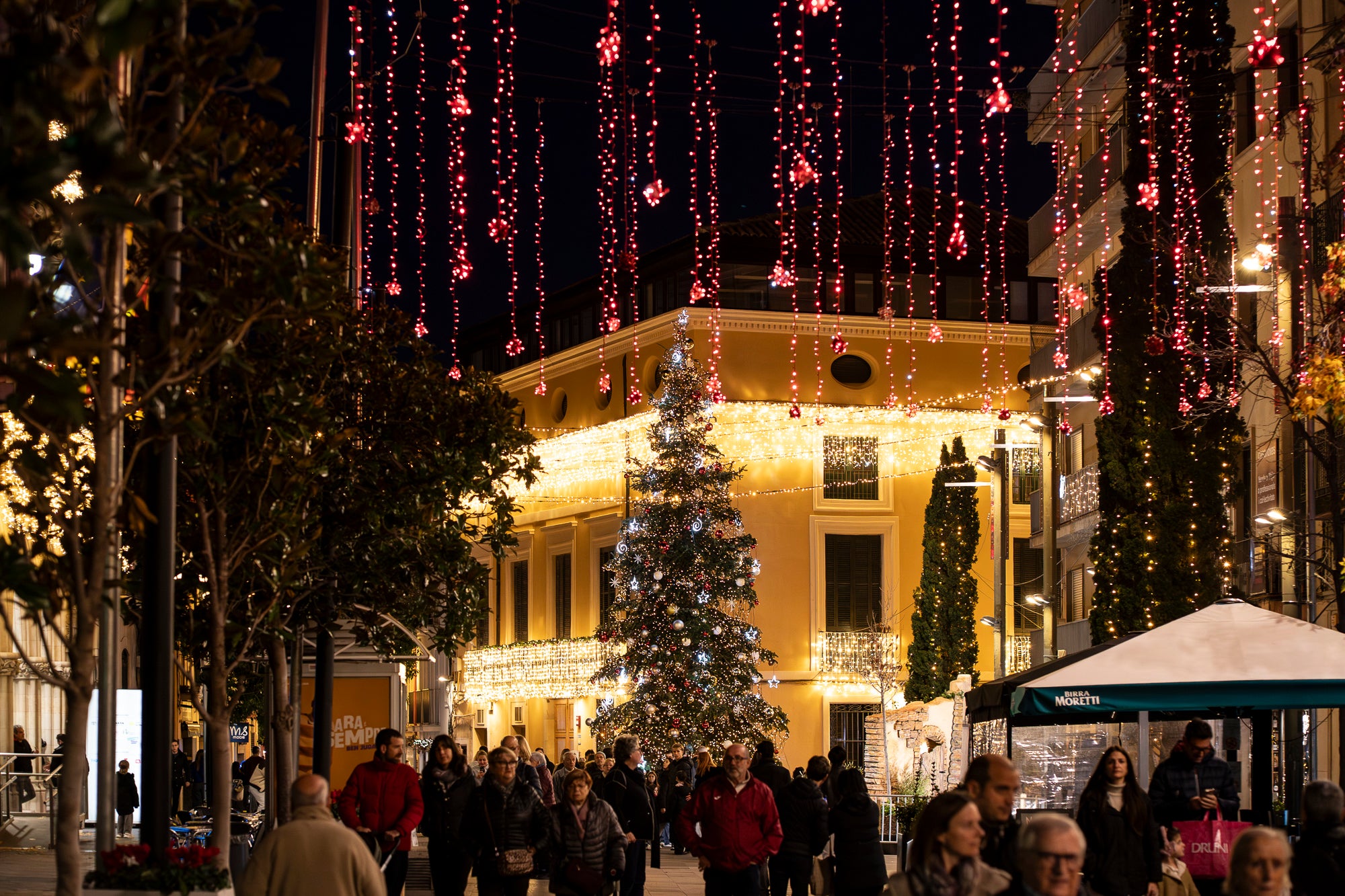 Terrassa es vesteix de màgia un any més amb arbres de Nadal repartits per diversos punts de la ciutat. Cada espai té el seu encant especial i converteix els carrers en un recorregut ple de llum, color i esperit nadalenc. En total, són sis arbres situats a Raval de Montserrat, Plaça del Doctor Robert, Plaça de Can Palet, Monument de la Dona, Plaça del Roc Blanc i Agustí Bartra | Mireia Comas