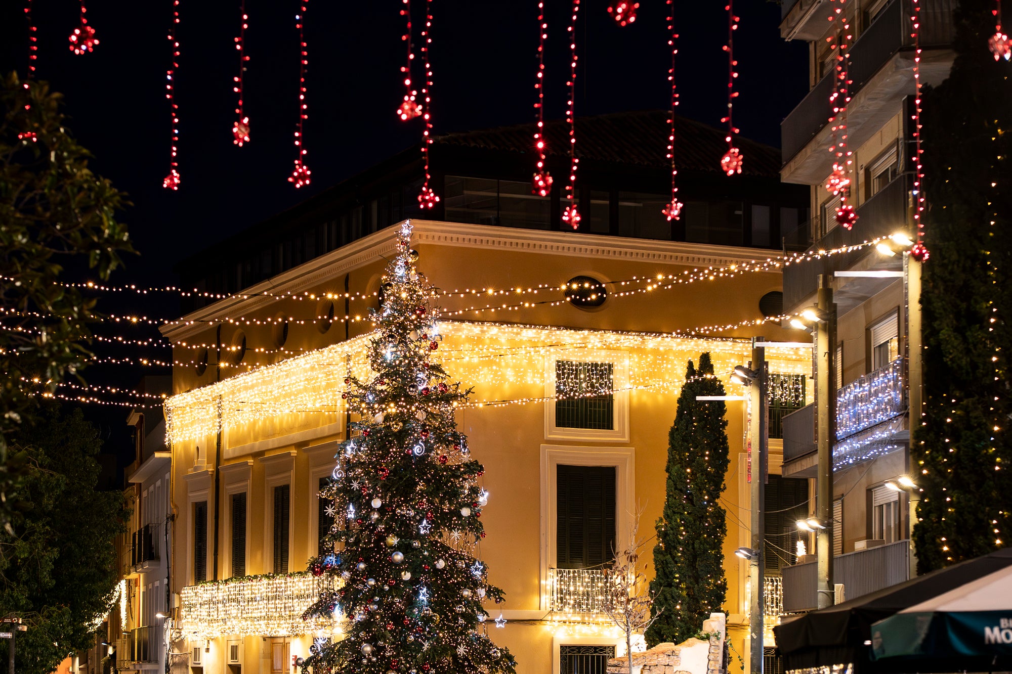 Terrassa es vesteix de màgia un any més amb arbres de Nadal repartits per diversos punts de la ciutat. Cada espai té el seu encant especial i converteix els carrers en un recorregut ple de llum, color i esperit nadalenc. En total, són sis arbres situats a Raval de Montserrat, Plaça del Doctor Robert, Plaça de Can Palet, Monument de la Dona, Plaça del Roc Blanc i Agustí Bartra | Mireia Comas