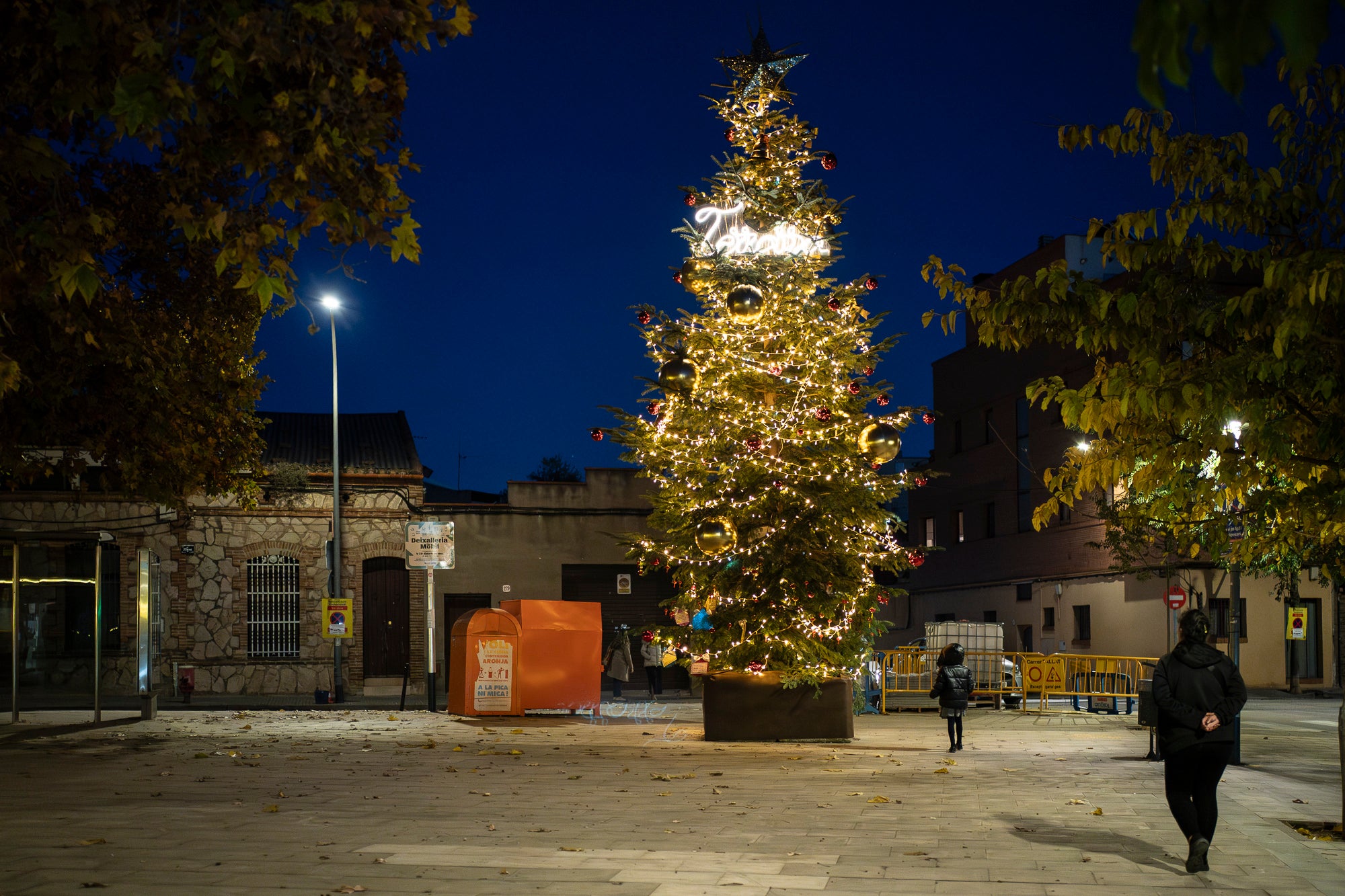 Terrassa es vesteix de màgia un any més amb arbres de Nadal repartits per diversos punts de la ciutat. Cada espai té el seu encant especial i converteix els carrers en un recorregut ple de llum, color i esperit nadalenc. En total, són sis arbres situats a Raval de Montserrat, Plaça del Doctor Robert, Plaça de Can Palet, Monument de la Dona, Plaça del Roc Blanc i Agustí Bartra | Mireia Comas