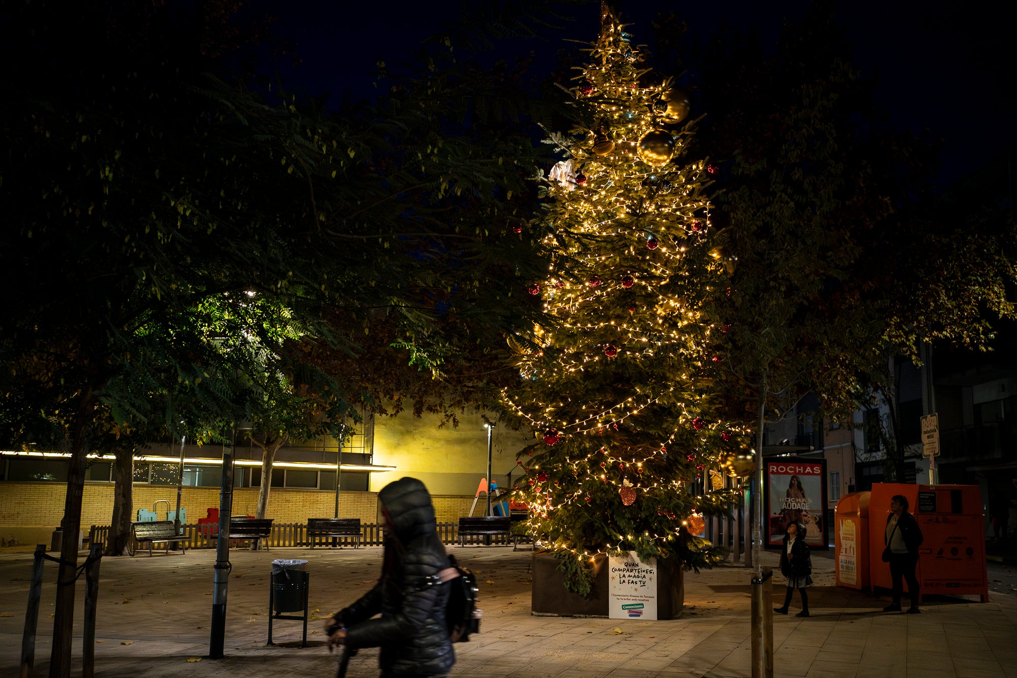 Terrassa es vesteix de màgia un any més amb arbres de Nadal repartits per diversos punts de la ciutat. Cada espai té el seu encant especial i converteix els carrers en un recorregut ple de llum, color i esperit nadalenc. En total, són sis arbres situats a Raval de Montserrat, Plaça del Doctor Robert, Plaça de Can Palet, Monument de la Dona, Plaça del Roc Blanc i Agustí Bartra | Mireia Comas