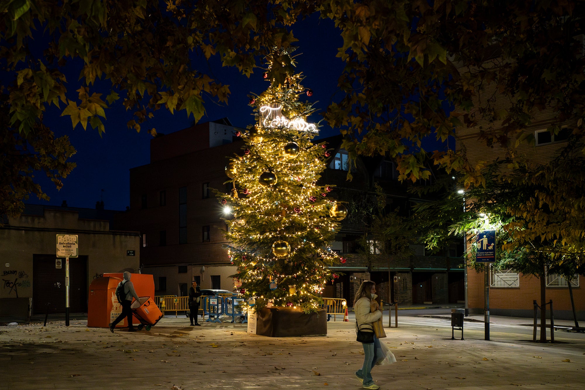 Terrassa es vesteix de màgia un any més amb arbres de Nadal repartits per diversos punts de la ciutat. Cada espai té el seu encant especial i converteix els carrers en un recorregut ple de llum, color i esperit nadalenc. En total, són sis arbres situats a Raval de Montserrat, Plaça del Doctor Robert, Plaça de Can Palet, Monument de la Dona, Plaça del Roc Blanc i Agustí Bartra | Mireia Comas