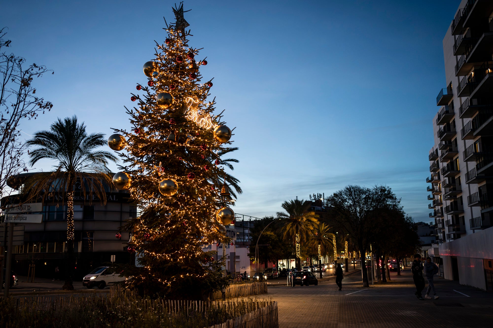 Terrassa es vesteix de màgia un any més amb arbres de Nadal repartits per diversos punts de la ciutat. Cada espai té el seu encant especial i converteix els carrers en un recorregut ple de llum, color i esperit nadalenc. En total, són sis arbres situats a Raval de Montserrat, Plaça del Doctor Robert, Plaça de Can Palet, Monument de la Dona, Plaça del Roc Blanc i Agustí Bartra | Mireia Comas