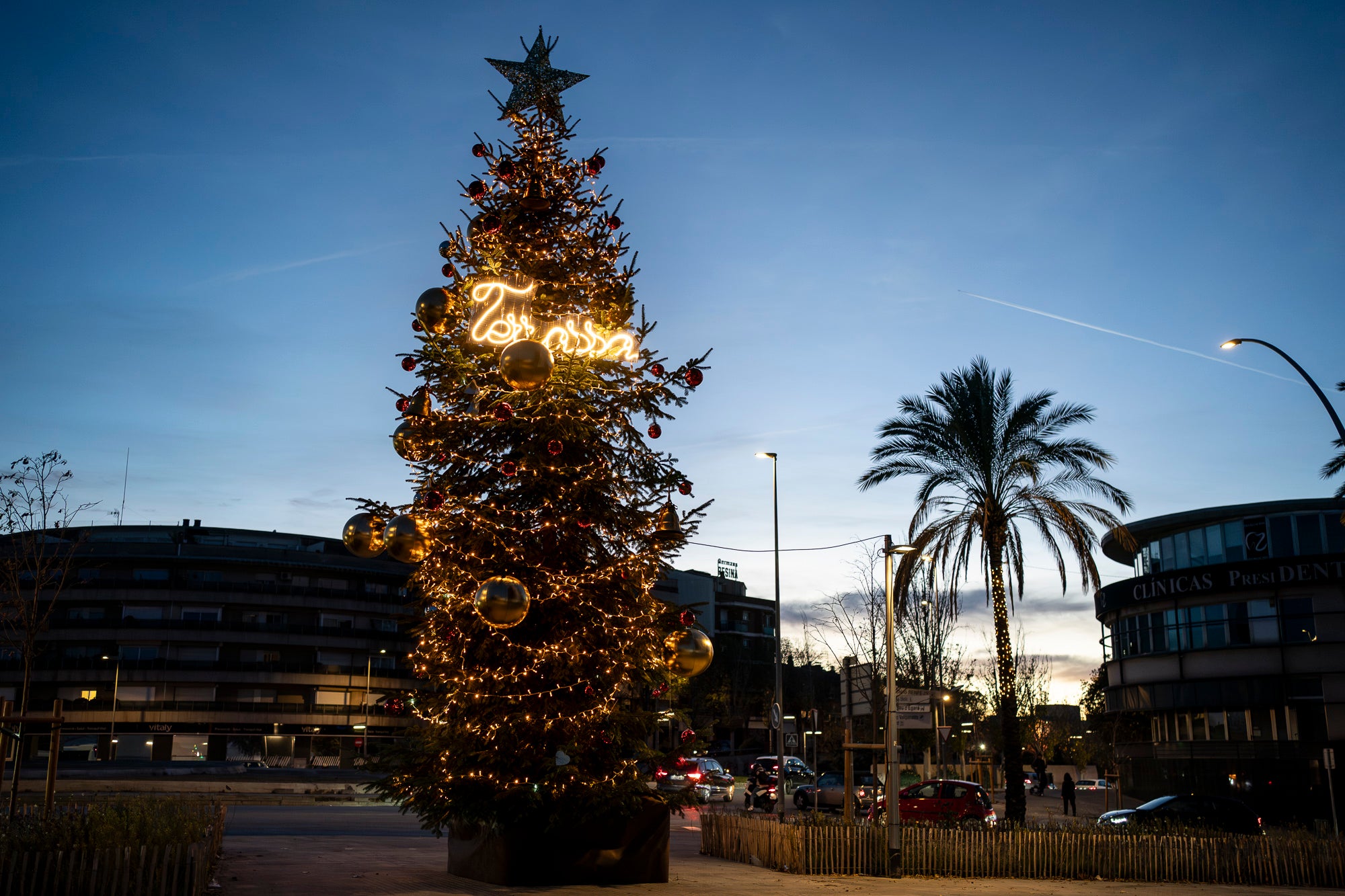 Terrassa es vesteix de màgia un any més amb arbres de Nadal repartits per diversos punts de la ciutat. Cada espai té el seu encant especial i converteix els carrers en un recorregut ple de llum, color i esperit nadalenc. En total, són sis arbres situats a Raval de Montserrat, Plaça del Doctor Robert, Plaça de Can Palet, Monument de la Dona, Plaça del Roc Blanc i Agustí Bartra | Mireia Comas