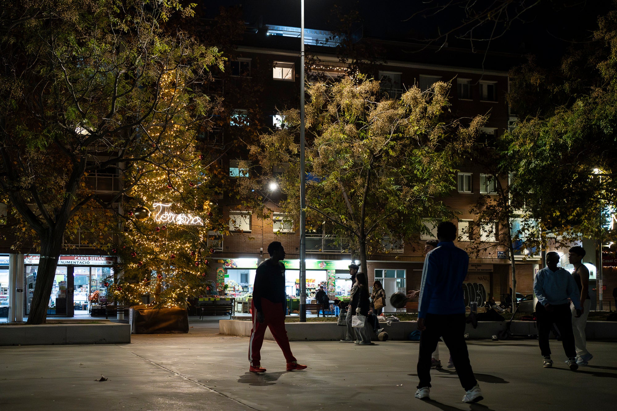 Terrassa es vesteix de màgia un any més amb arbres de Nadal repartits per diversos punts de la ciutat. Cada espai té el seu encant especial i converteix els carrers en un recorregut ple de llum, color i esperit nadalenc. En total, són sis arbres situats a Raval de Montserrat, Plaça del Doctor Robert, Plaça de Can Palet, Monument de la Dona, Plaça del Roc Blanc i Agustí Bartra | Mireia Comas