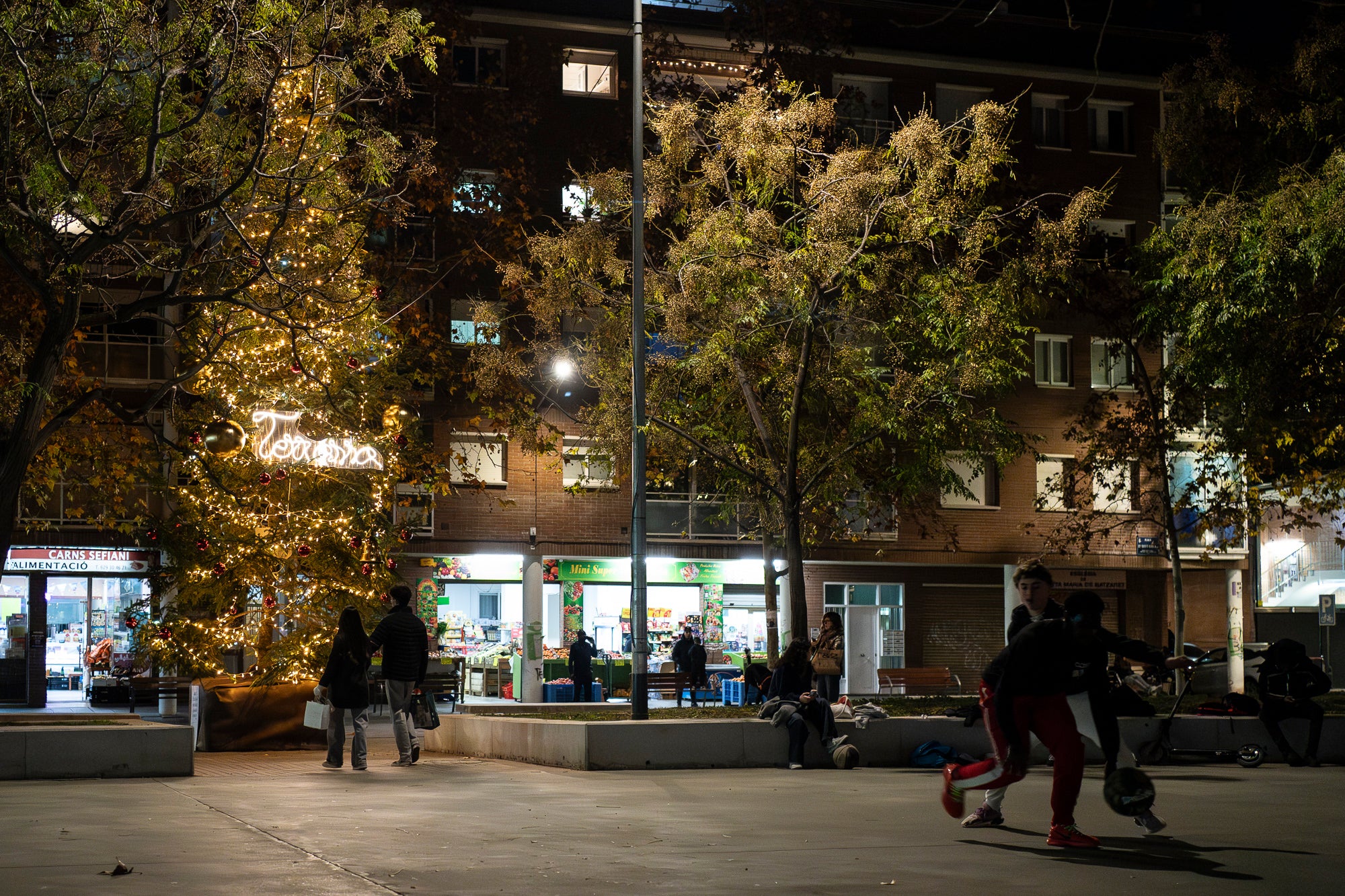 Terrassa es vesteix de màgia un any més amb arbres de Nadal repartits per diversos punts de la ciutat. Cada espai té el seu encant especial i converteix els carrers en un recorregut ple de llum, color i esperit nadalenc. En total, són sis arbres situats a Raval de Montserrat, Plaça del Doctor Robert, Plaça de Can Palet, Monument de la Dona, Plaça del Roc Blanc i Agustí Bartra | Mireia Comas