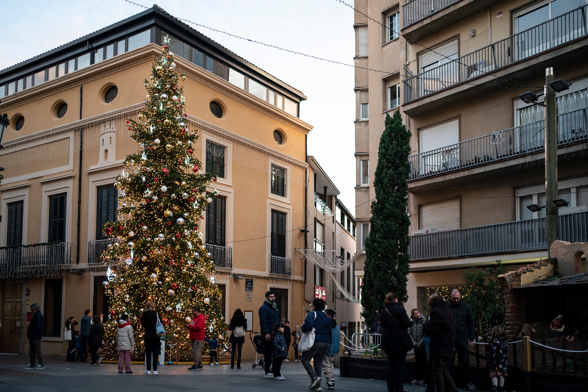 Terrassa es vesteix de màgia un any més amb arbres de Nadal repartits per diversos punts de la ciutat. Cada espai té el seu encant especial i converteix els carrers en un recorregut ple de llum, color i esperit nadalenc. En total, són sis arbres situats a Raval de Montserrat, Plaça del Doctor Robert, Plaça de Can Palet, Monument de la Dona, Plaça del Roc Blanc i Agustí Bartra | Mireia Comas