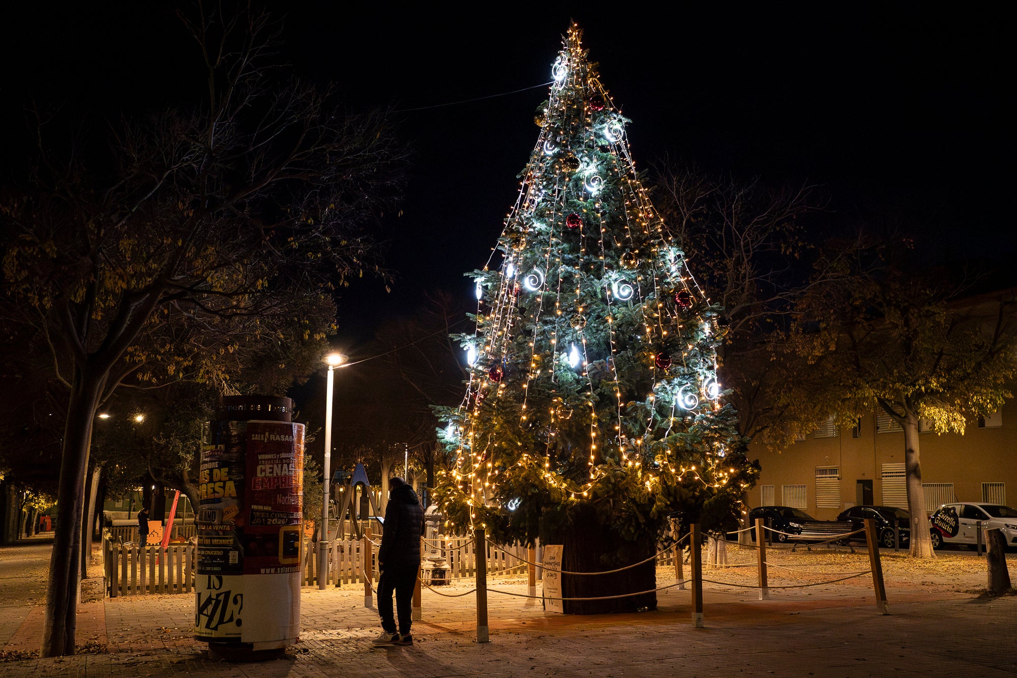 Terrassa es vesteix de màgia un any més amb arbres de Nadal repartits per diversos punts de la ciutat. Cada espai té el seu encant especial i converteix els carrers en un recorregut ple de llum, color i esperit nadalenc. En total, són sis arbres situats a Raval de Montserrat, Plaça del Doctor Robert, Plaça de Can Palet, Monument de la Dona, Plaça del Roc Blanc i Agustí Bartra | Mireia Comas
