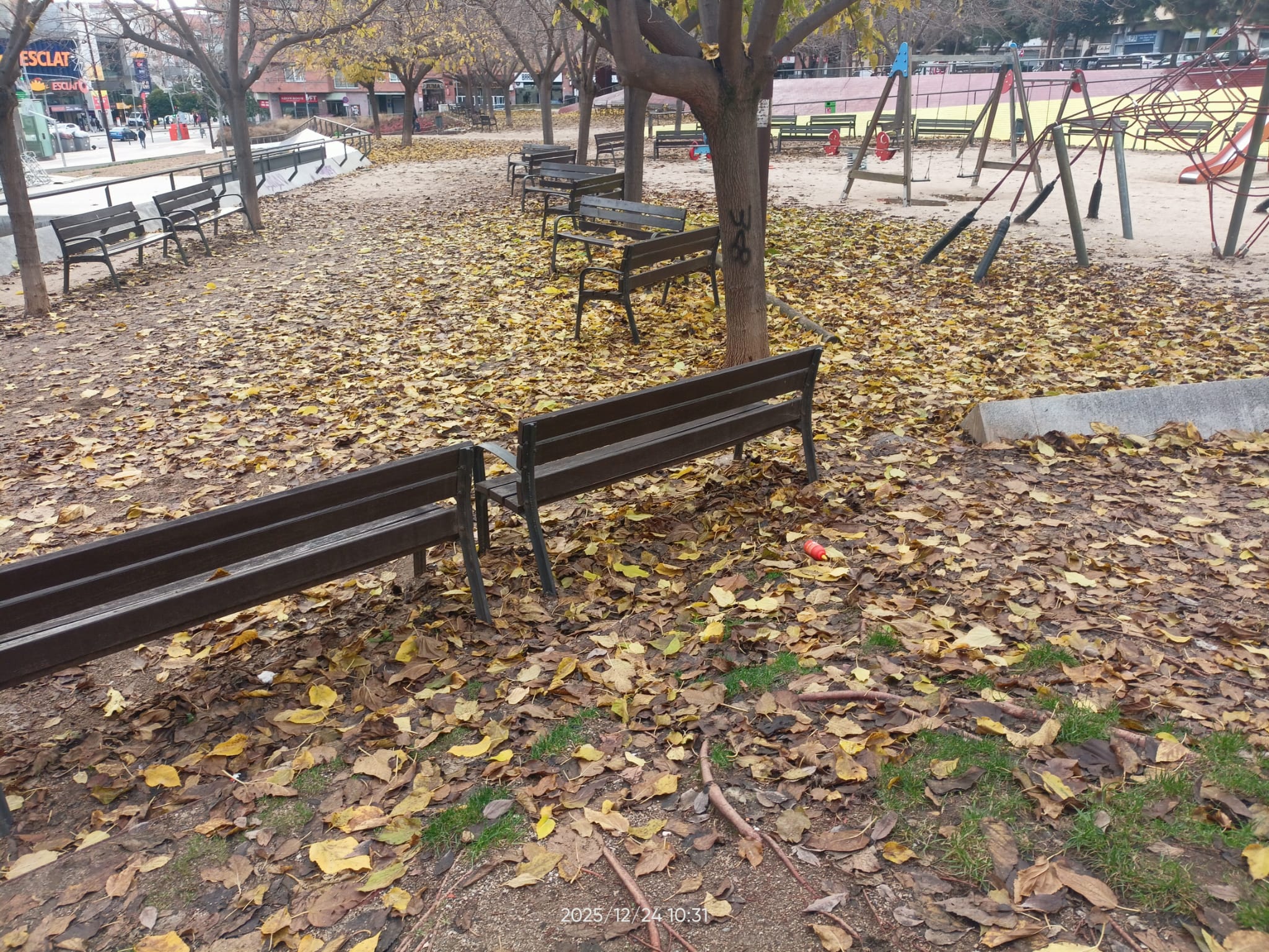 Estat de la plaça de Lluïs Companys amb les fulles a terra | Cedida