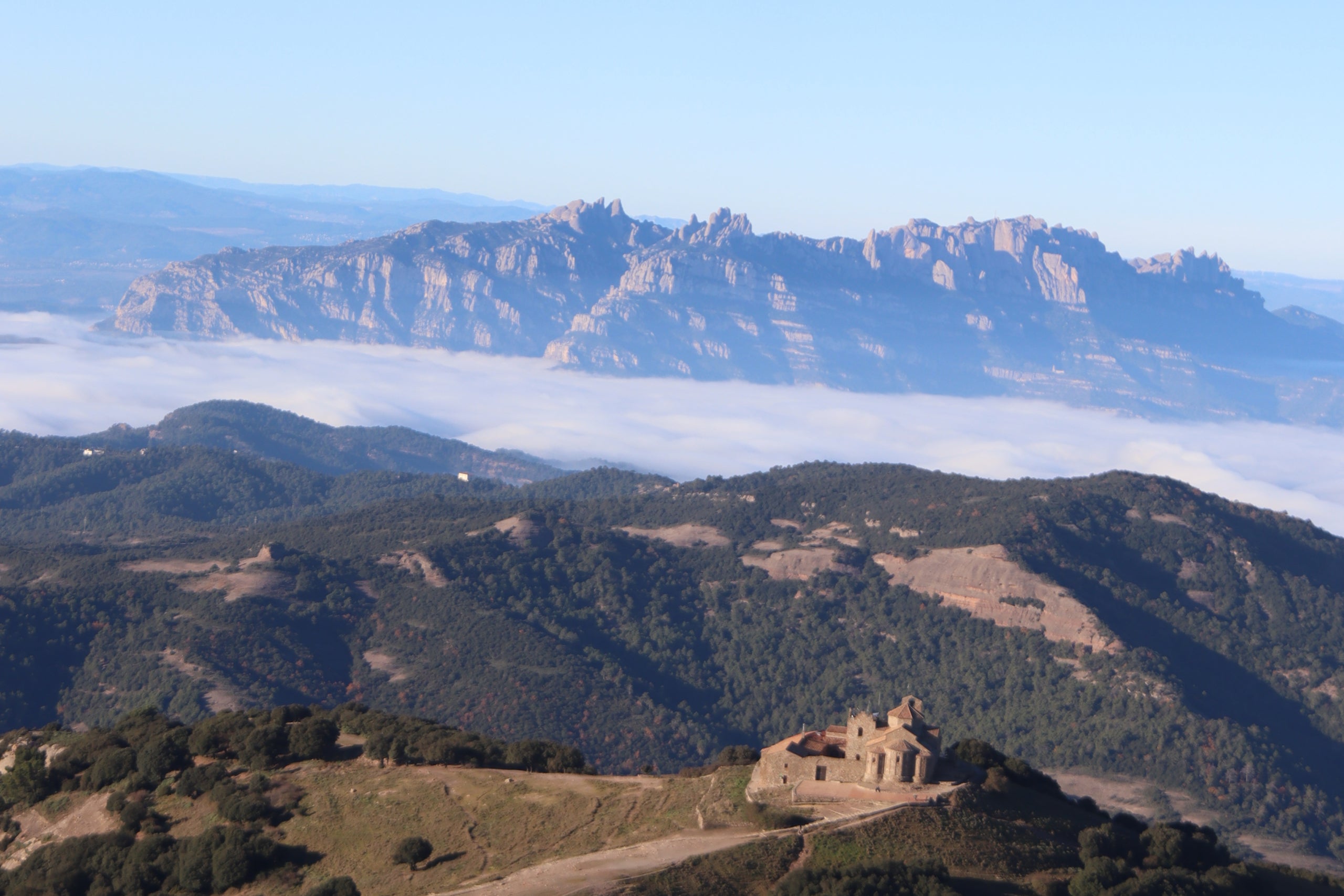 Helicòpter dels Agents Rurals sobrevolant la zona afectada per la pesta porcina |  Nico Tomás - ACN