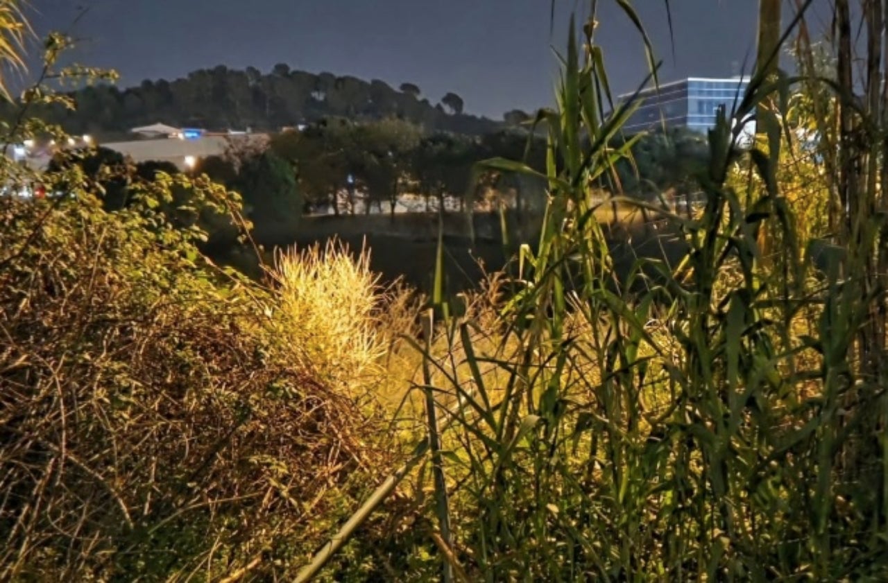 Lloc per on van accedir els lladres del Club Agility Les Fonts | Cedida