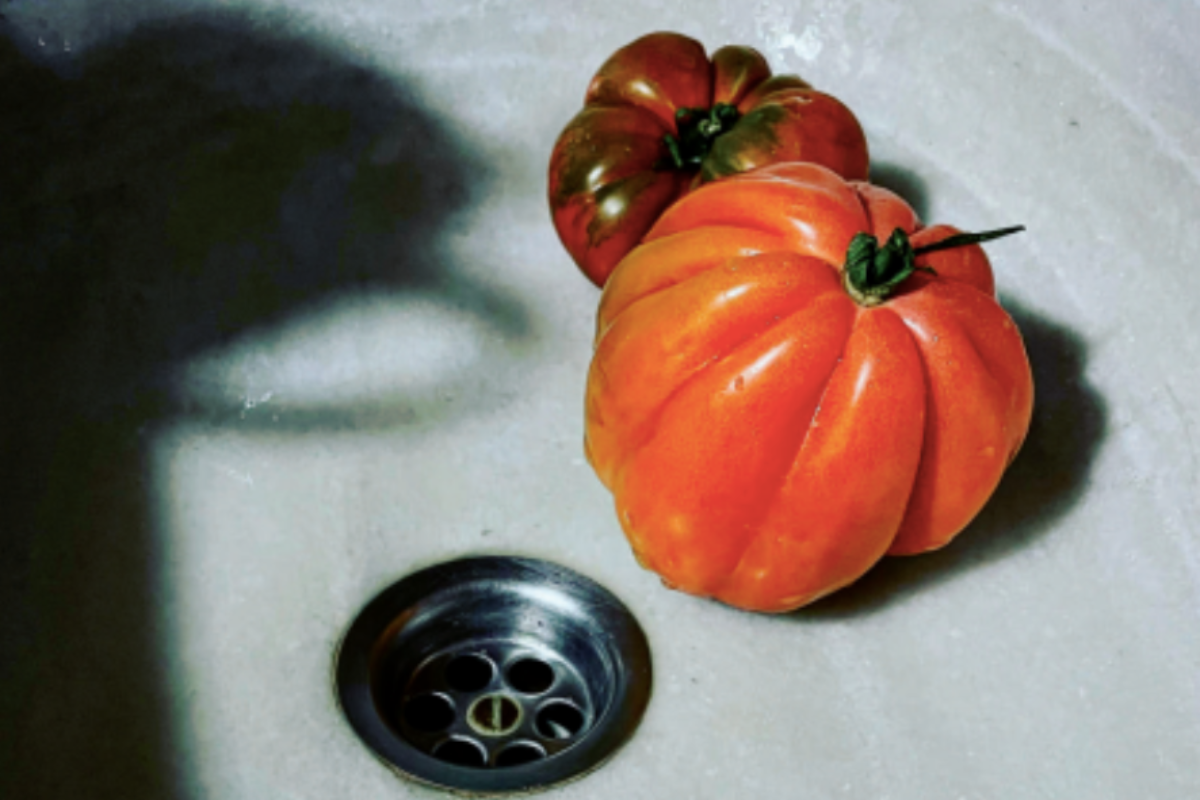 La Sala Paüls acull una exposició sobre el fotògraf Jaume Farrés Ubach | Sala Paüls