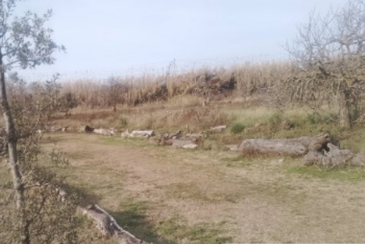 Camí d'accés a l'Anella Verda des de Pablo Iglesias | AV La Maurina