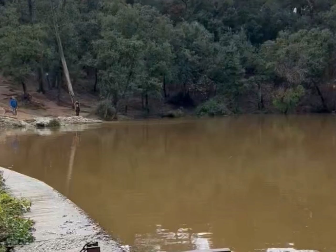 Panta de Can Bogunyà ple d'aigua fins dalt | Jordi Meteo