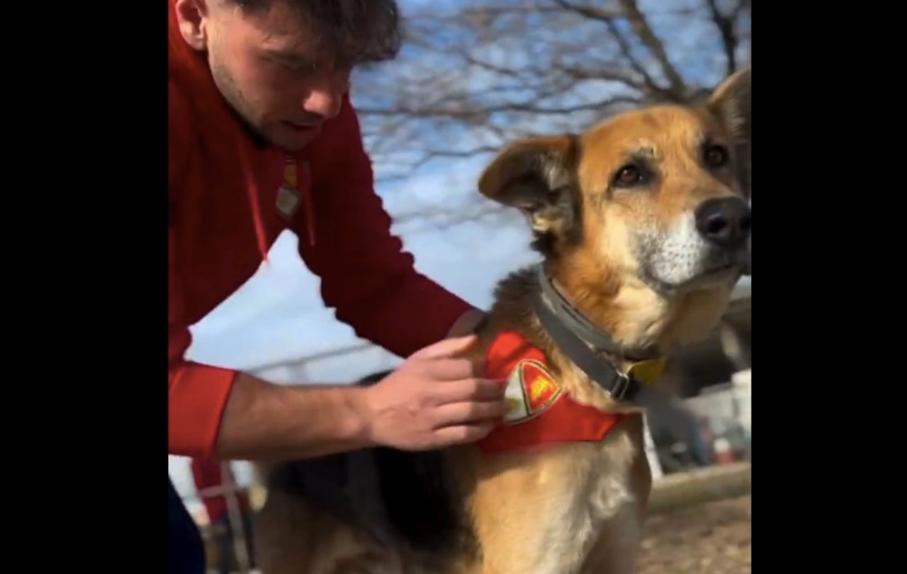 Acció per fomentar l'adopció de gossos del CAAD | Terrassa FC
