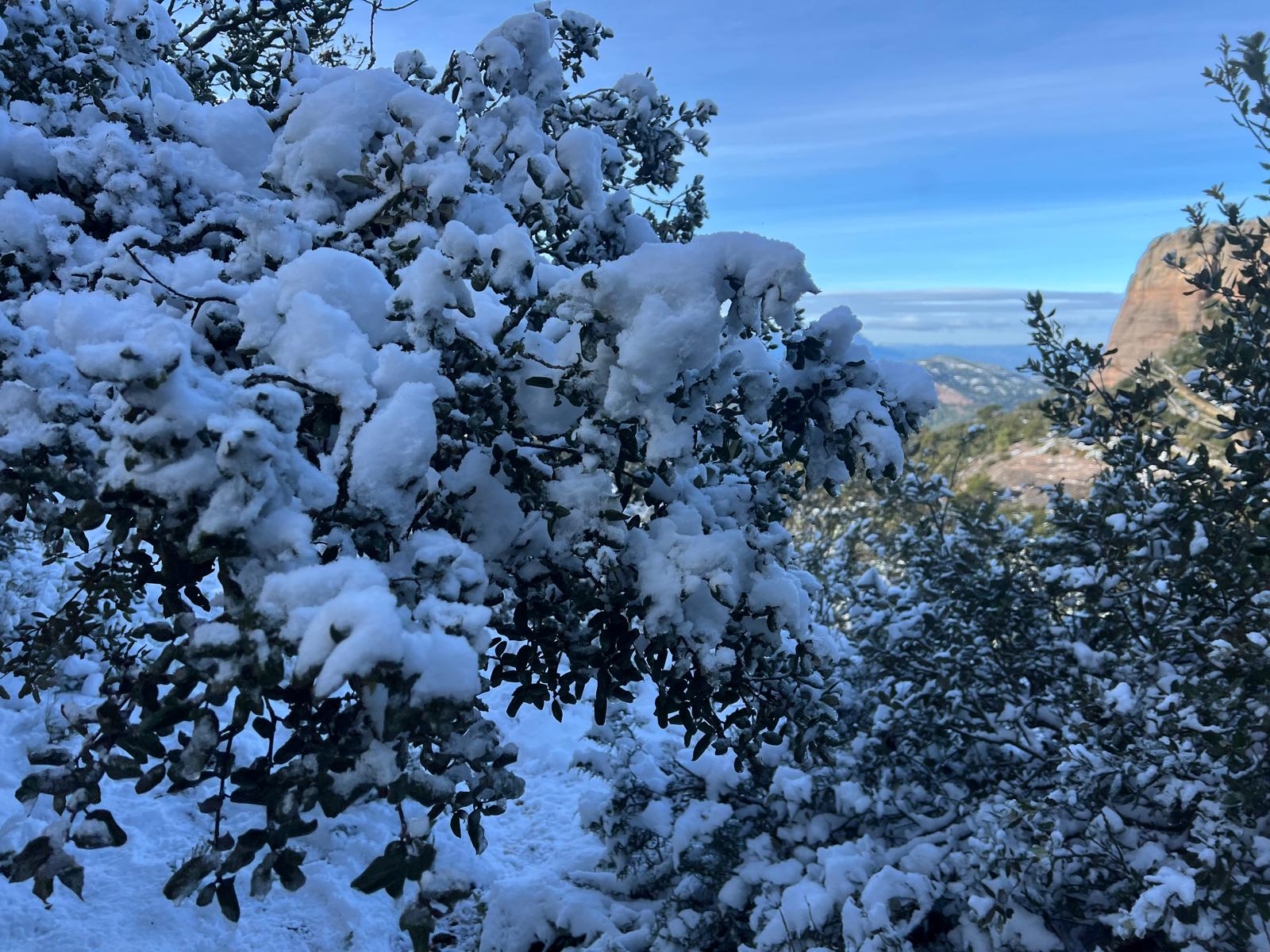 Els excursionistes no s'han volgut perdre l'experiència de pujar al cim de La Mola del Parc Natural de Sant Llorenç del Munt l'endemà d'una gran nevada, la segona d'aquest gener del 2026, aprofitant que el dia és fred però ben assolellat. Ben equipats, a causa precisament de la neu, en els últims trams de l'arribada al monestir s'havia de vigilar de no ensopegar. Però una vegada a dalt, les vistes també nevades de tot l'entorn pagaven la pena | Jordi Roset/Salvador Cot