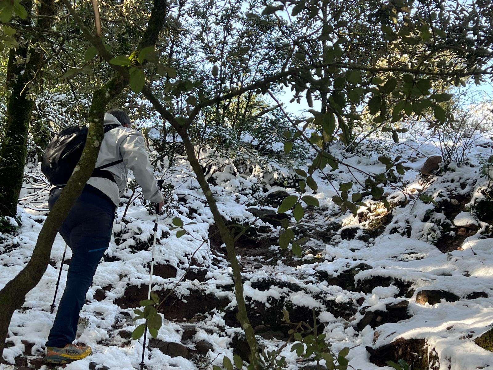 Els excursionistes no s'han volgut perdre l'experiència de pujar al cim de La Mola del Parc Natural de Sant Llorenç del Munt l'endemà d'una gran nevada, la segona d'aquest gener del 2026, aprofitant que el dia és fred però ben assolellat. Ben equipats, a causa precisament de la neu, en els últims trams de l'arribada al monestir s'havia de vigilar de no ensopegar. Però una vegada a dalt, les vistes també nevades de tot l'entorn pagaven la pena | Jordi Roset/Salvador Cot