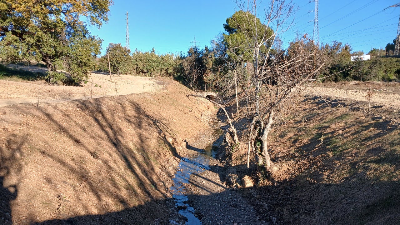 Estat final del torrent de la Grípia aigües avall del pas de fauna. S’ha suprimit un antic assut, erradicat espècies de flora invasora i s’han restaurat els talussos fluvials | Gencat
