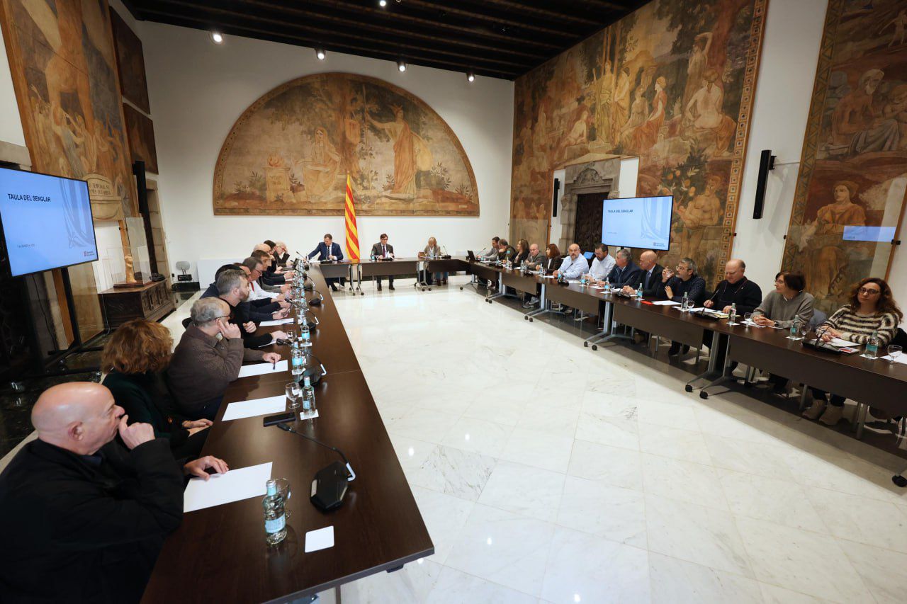 Es reuneix per primera vegada la Taula Estratègica dels Conflictes del Senglar a Catalunya | Gencat