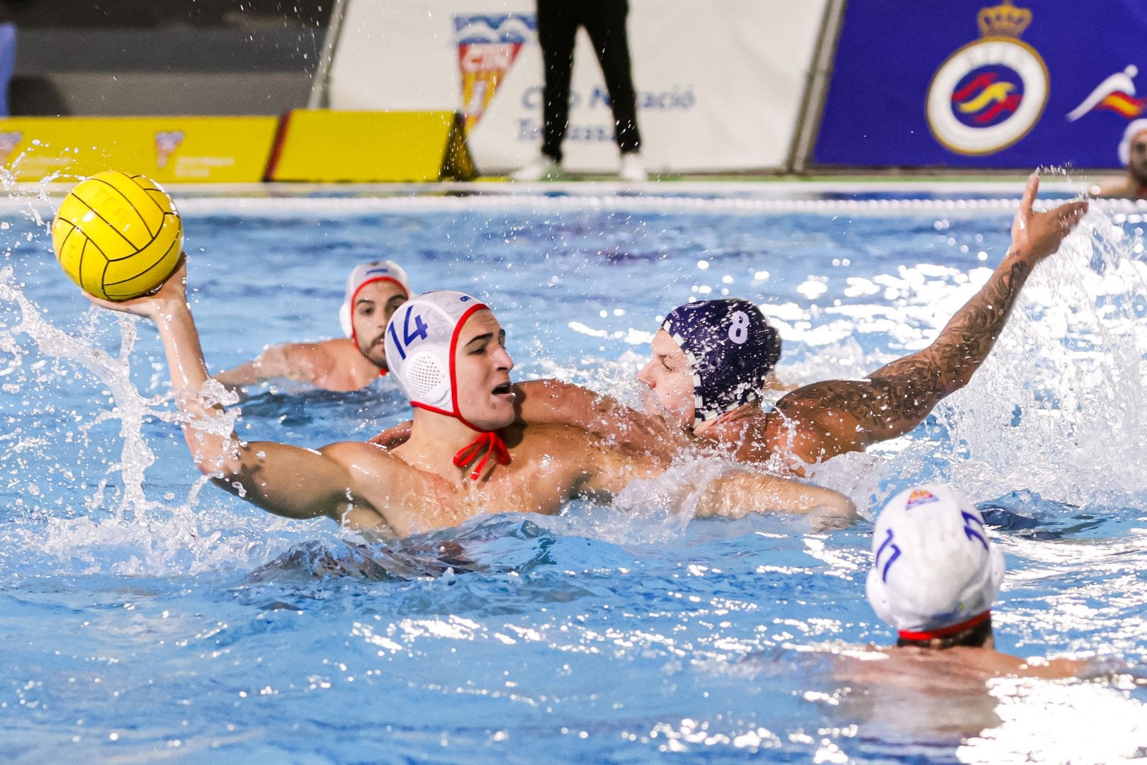 El CN Terrassa acollirà del 13 al 15 de març la Copa del Rei de waterpolo | RFEN