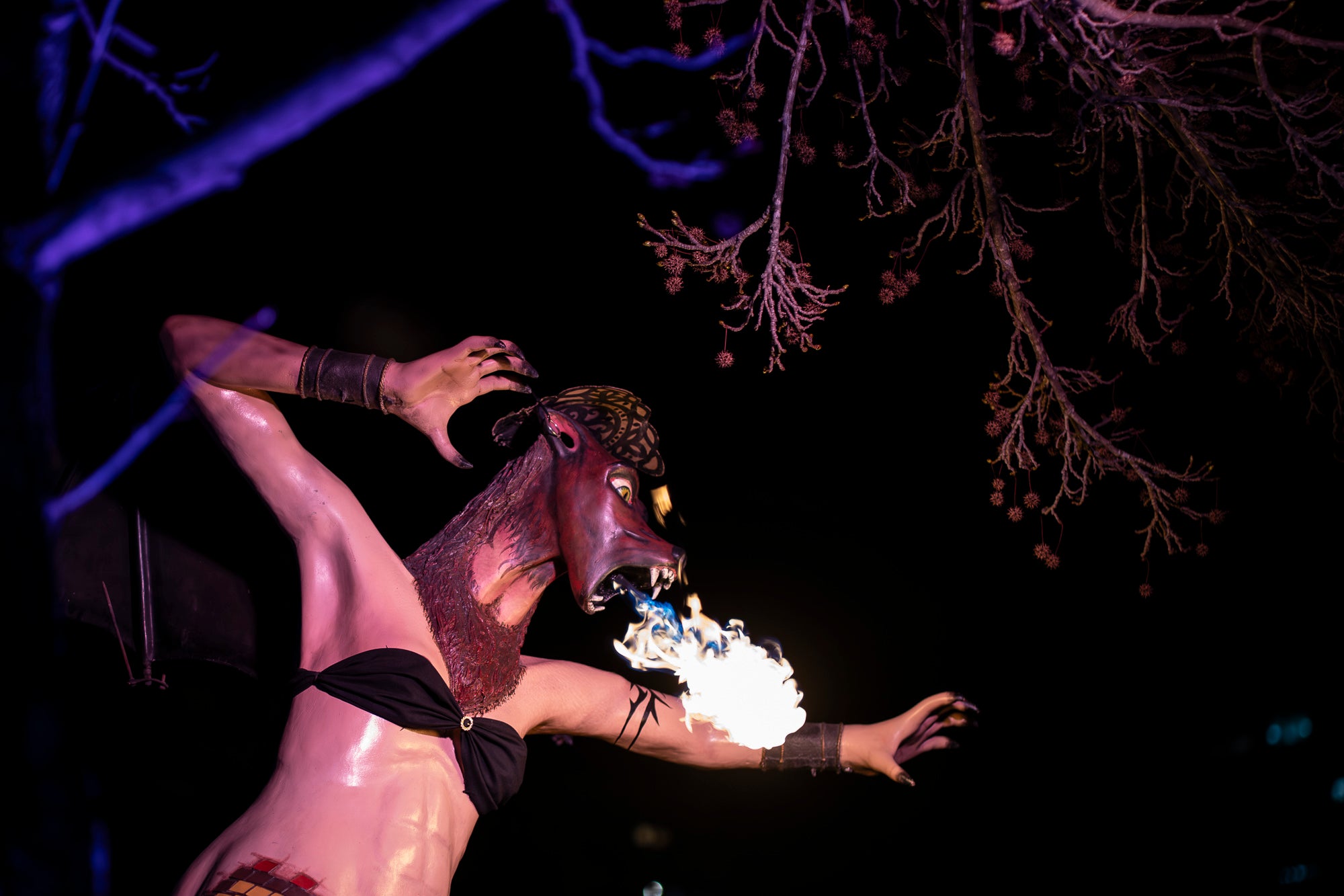 Aquest dimecres, dia 18 de febrer, ha tingut lloc l’acte que posa punt i final a la celebració del Carnestoltes a Terrassa. Cap a les vuit del vespre s’ha iniciat la Rua Mortuòria, amb els taüts del rei i la reina, que els ha conduït fins al Parc de Vallparadís. Un cop allà, s’ha fet l’enterrament de la sardina amb la col·laboració de diversos grups de cultura popular de la ciutat amb un sorprenent espectacle teatral i de foc.