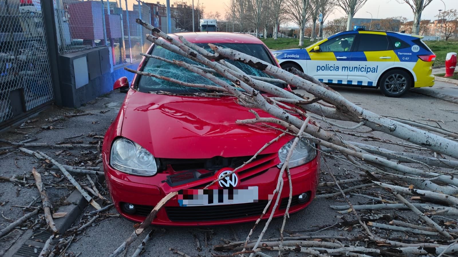 Arbre caigut sobre un vehicle en un carrer de Terrassa | Policia Municipal de Terrassa