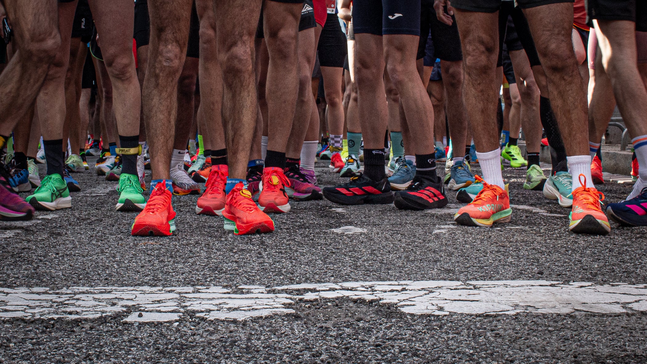 Aquest diumenge, 1 de febrer, s'ha celebrat la 26a edició de la Mitja Marató Internacional de Terrassa. Un total de 4.154 participants han corregut en els dos recorreguts que s'han organitzat, la cursa gran (de 21 quilòmetres) i la Santi Centelles (de 5 quilòmetres). Els grans triomfadors de la jornada han estat Jaume Leiva i Cristina Silva, que s'ha proclamat campions de l'edició d'enguany amb un temps d'1:07:43 i 1:15:18, respectivament | Javier González