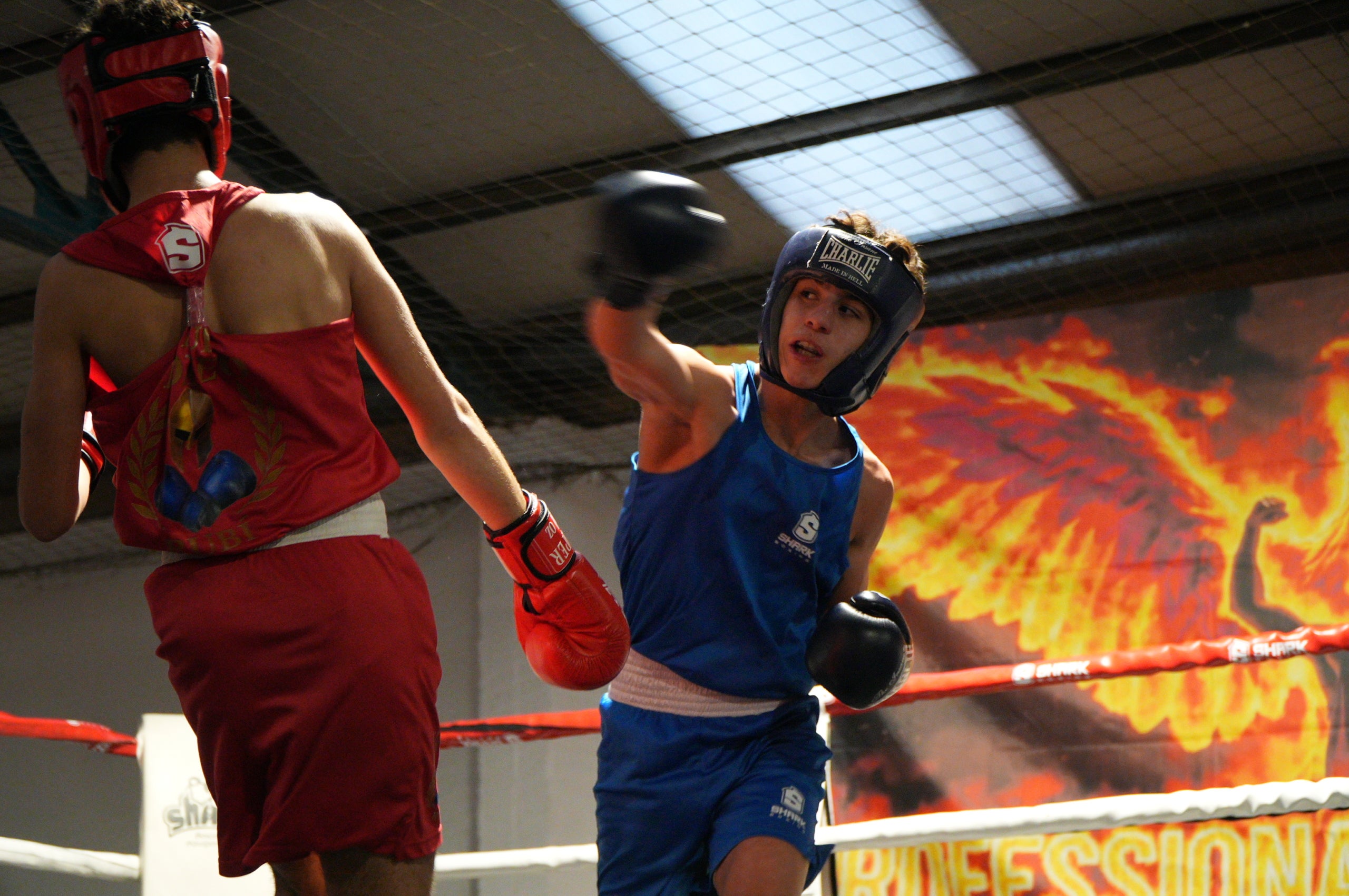 Gran jornada de boxa al pavelló poliesportiu de La Cogullada. El Boxing Club Terrassa va preparar un dissabte ple de lluita i passió amb un total de dotze combats de totes les categories. Era la prèvia perfecte per acompanyar el debut com a professional de Musta Jr. L’esdeveniment va crear molta expectació i els boxejadors de Terrassa van demostrar el seu nivell davant d’un públic entregat. Van competir: els juniors Adam IBN Maimoun, Hanna Al Fakiri, Rafael El Kasser (del Boxing Terrassa) i Solaiman Rouaz (del Team S. Leon), els joves Emma Méndez, Gerard Martín i Achraf El Idrissi (del Boxing) i David Sánchez (del Team S. Leon); i en elit, Pedro Martinez (Boxing). A més, es va fer un reconeixement especial al terrassenc Fran Garcia, actual campió d’Espanya en boxa adaptada.