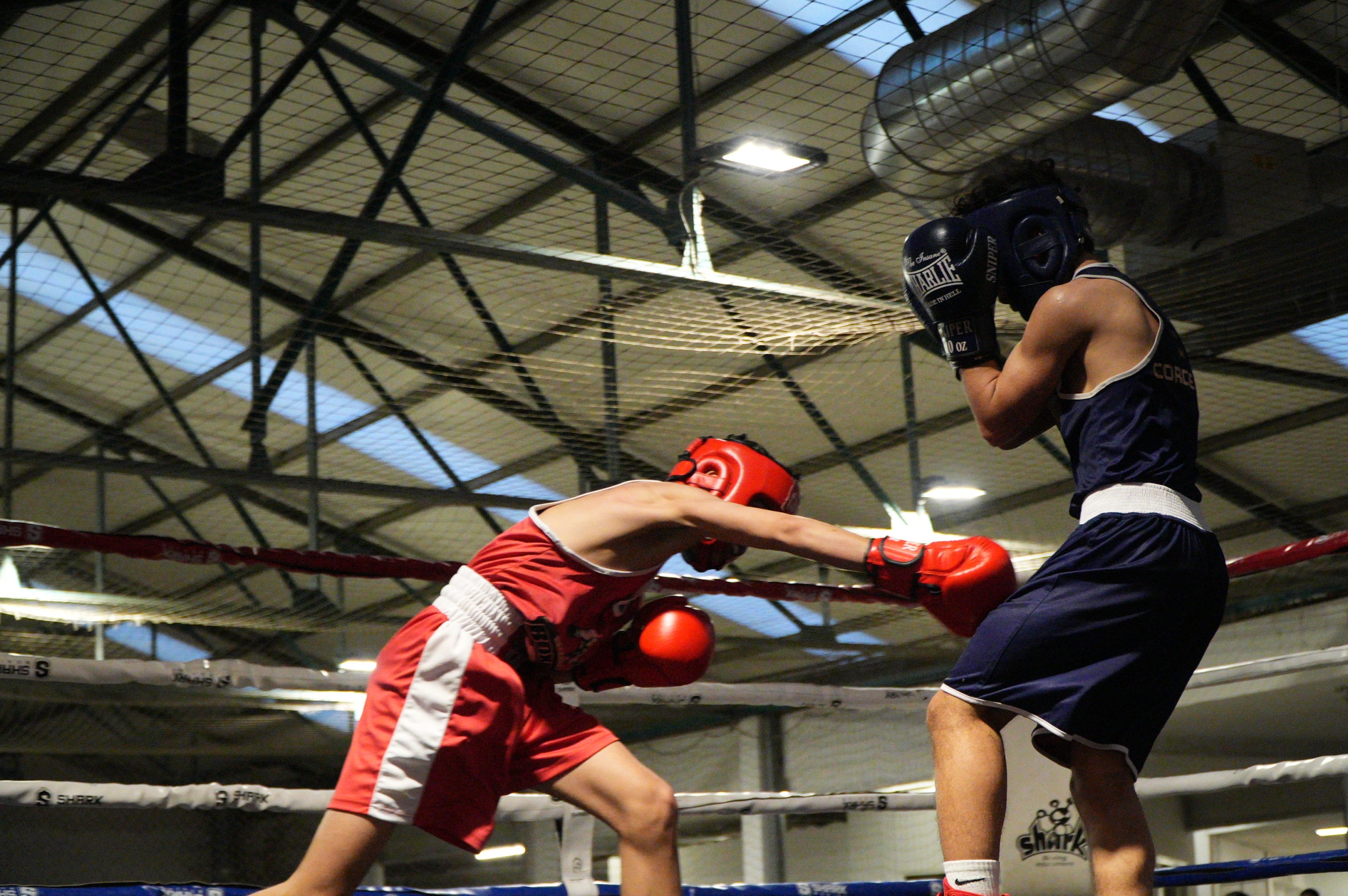 Gran jornada de boxa al pavelló poliesportiu de La Cogullada. El Boxing Club Terrassa va preparar un dissabte ple de lluita i passió amb un total de dotze combats de totes les categories. Era la prèvia perfecte per acompanyar el debut com a professional de Musta Jr. L’esdeveniment va crear molta expectació i els boxejadors de Terrassa van demostrar el seu nivell davant d’un públic entregat. Van competir: els juniors Adam IBN Maimoun, Hanna Al Fakiri, Rafael El Kasser (del Boxing Terrassa) i Solaiman Rouaz (del Team S. Leon), els joves Emma Méndez, Gerard Martín i Achraf El Idrissi (del Boxing) i David Sánchez (del Team S. Leon); i en elit, Pedro Martinez (Boxing). A més, es va fer un reconeixement especial al terrassenc Fran Garcia, actual campió d’Espanya en boxa adaptada.