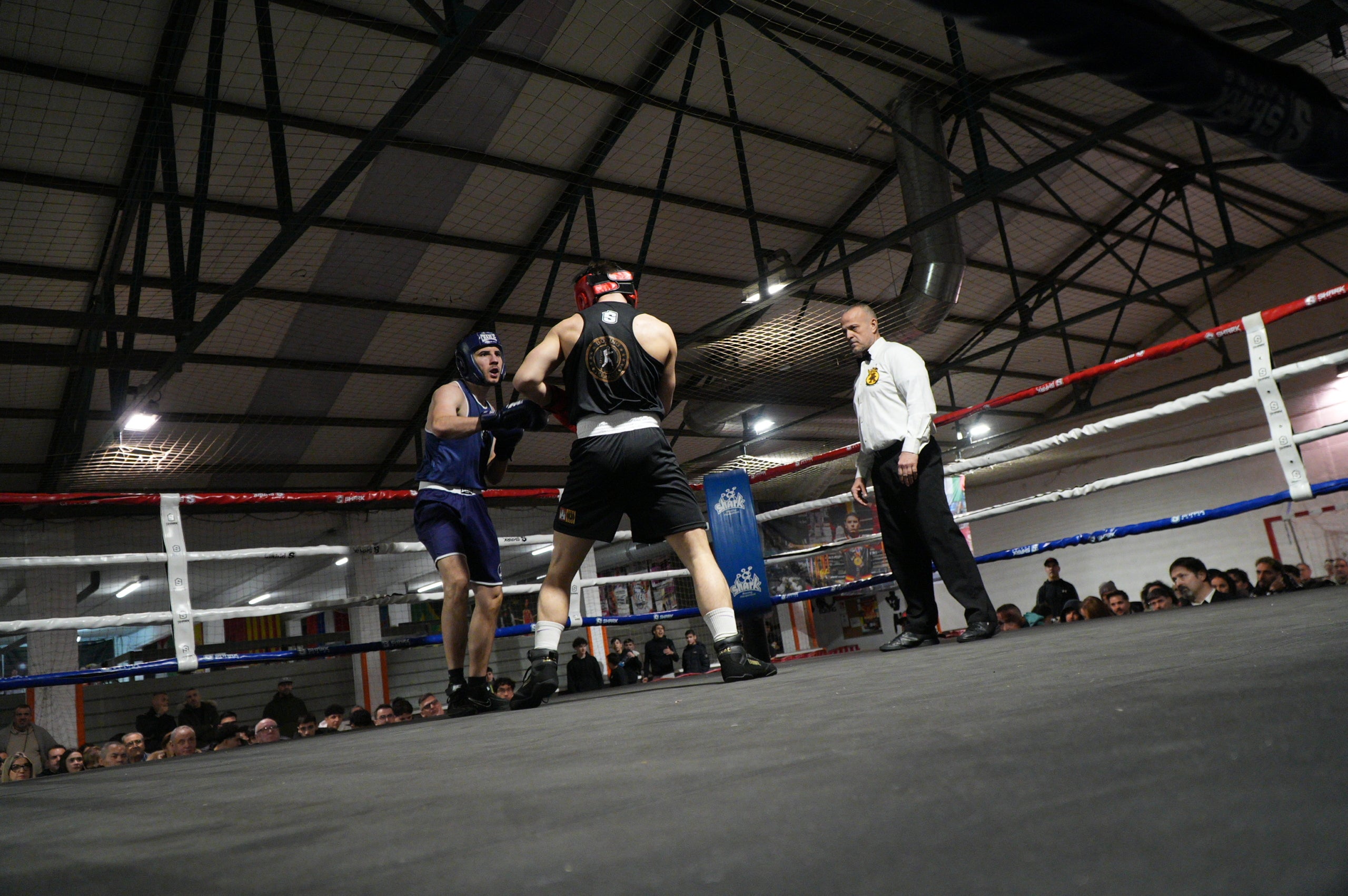 Gran jornada de boxa al pavelló poliesportiu de La Cogullada. El Boxing Club Terrassa va preparar un dissabte ple de lluita i passió amb un total de dotze combats de totes les categories. Era la prèvia perfecte per acompanyar el debut com a professional de Musta Jr. L’esdeveniment va crear molta expectació i els boxejadors de Terrassa van demostrar el seu nivell davant d’un públic entregat. Van competir: els juniors Adam IBN Maimoun, Hanna Al Fakiri, Rafael El Kasser (del Boxing Terrassa) i Solaiman Rouaz (del Team S. Leon), els joves Emma Méndez, Gerard Martín i Achraf El Idrissi (del Boxing) i David Sánchez (del Team S. Leon); i en elit, Pedro Martinez (Boxing). A més, es va fer un reconeixement especial al terrassenc Fran Garcia, actual campió d’Espanya en boxa adaptada.