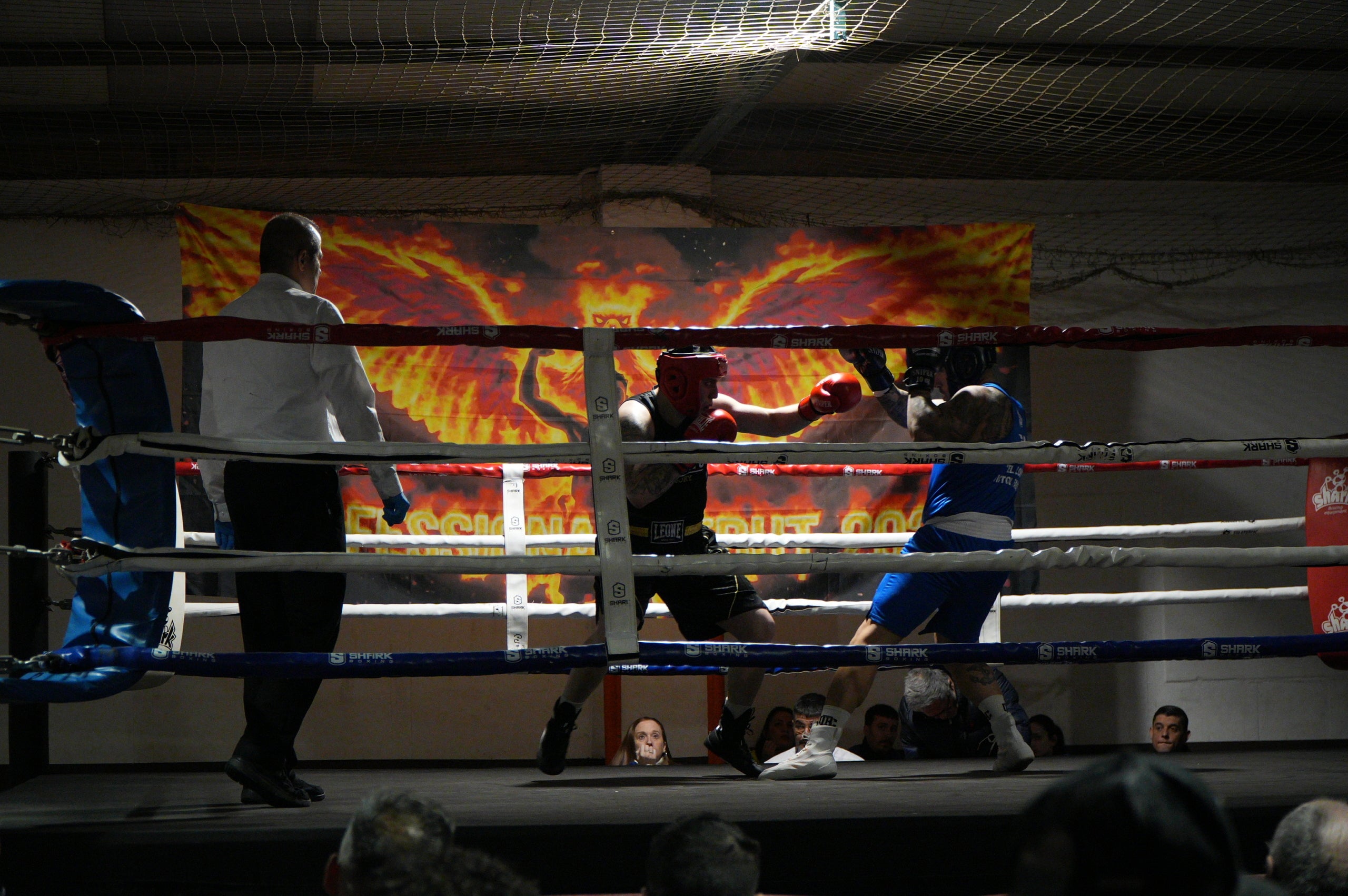 Gran jornada de boxa al pavelló poliesportiu de La Cogullada. El Boxing Club Terrassa va preparar un dissabte ple de lluita i passió amb un total de dotze combats de totes les categories. Era la prèvia perfecte per acompanyar el debut com a professional de Musta Jr. L’esdeveniment va crear molta expectació i els boxejadors de Terrassa van demostrar el seu nivell davant d’un públic entregat. Van competir: els juniors Adam IBN Maimoun, Hanna Al Fakiri, Rafael El Kasser (del Boxing Terrassa) i Solaiman Rouaz (del Team S. Leon), els joves Emma Méndez, Gerard Martín i Achraf El Idrissi (del Boxing) i David Sánchez (del Team S. Leon); i en elit, Pedro Martinez (Boxing). A més, es va fer un reconeixement especial al terrassenc Fran Garcia, actual campió d’Espanya en boxa adaptada.