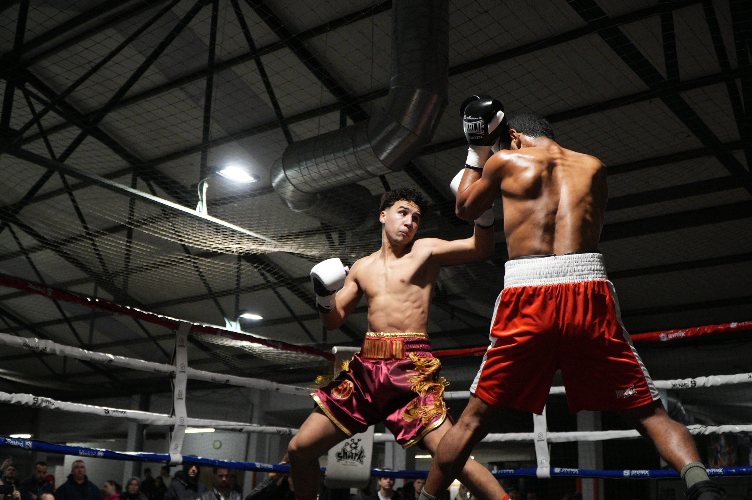 Nit molt especial a La Cogullada amb l’estrena com professional del boxejador terrassenc Musta Jr. El “rei” ha fet un pas endavant després de triomfar en les categories amateurs, aconseguint títols i medalles estatals i internacionals. Aquest dissabte, ha estat el dia escollit per debutar, i ho ha fet davant d’un rival que no era fàcil, el colombià Jorge Luna, amb tretze combats ja com a professional. Musta Jr no ha decebut i s’ha imposat per 1-0-0 (1KO). Autèntica bogeria al pavelló poliesportiu de Terrassa per celebrar el primer triomf de molts per a la jove promesa de la boxa.