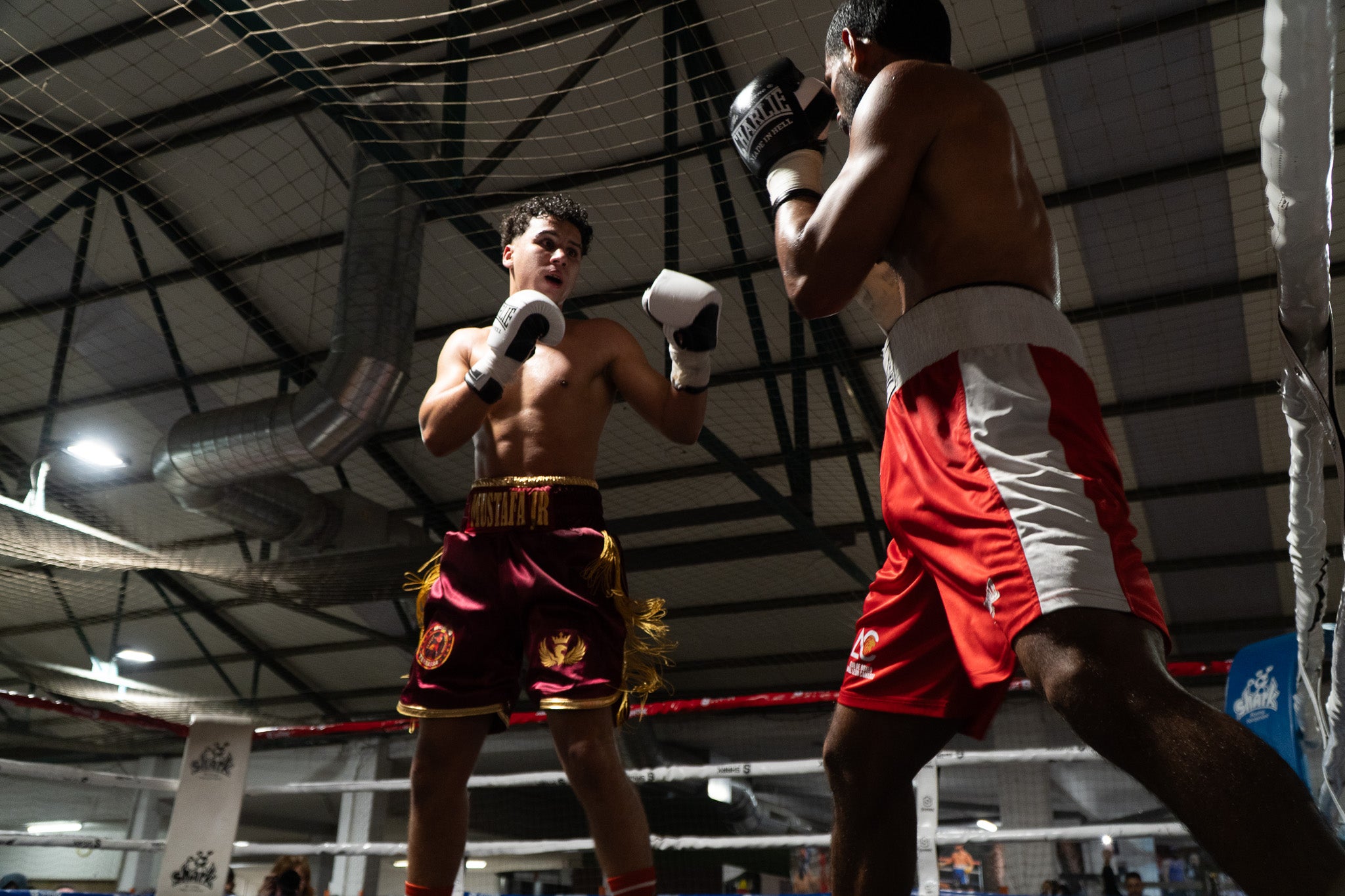Nit molt especial a La Cogullada amb l’estrena com professional del boxejador terrassenc Musta Jr. El “rei” ha fet un pas endavant després de triomfar en les categories amateurs, aconseguint títols i medalles estatals i internacionals. Aquest dissabte, ha estat el dia escollit per debutar, i ho ha fet davant d’un rival que no era fàcil, el colombià Jorge Luna, amb tretze combats ja com a professional. Musta Jr no ha decebut i s’ha imposat per 1-0-0 (1KO). Autèntica bogeria al pavelló poliesportiu de Terrassa per celebrar el primer triomf de molts per a la jove promesa de la boxa.