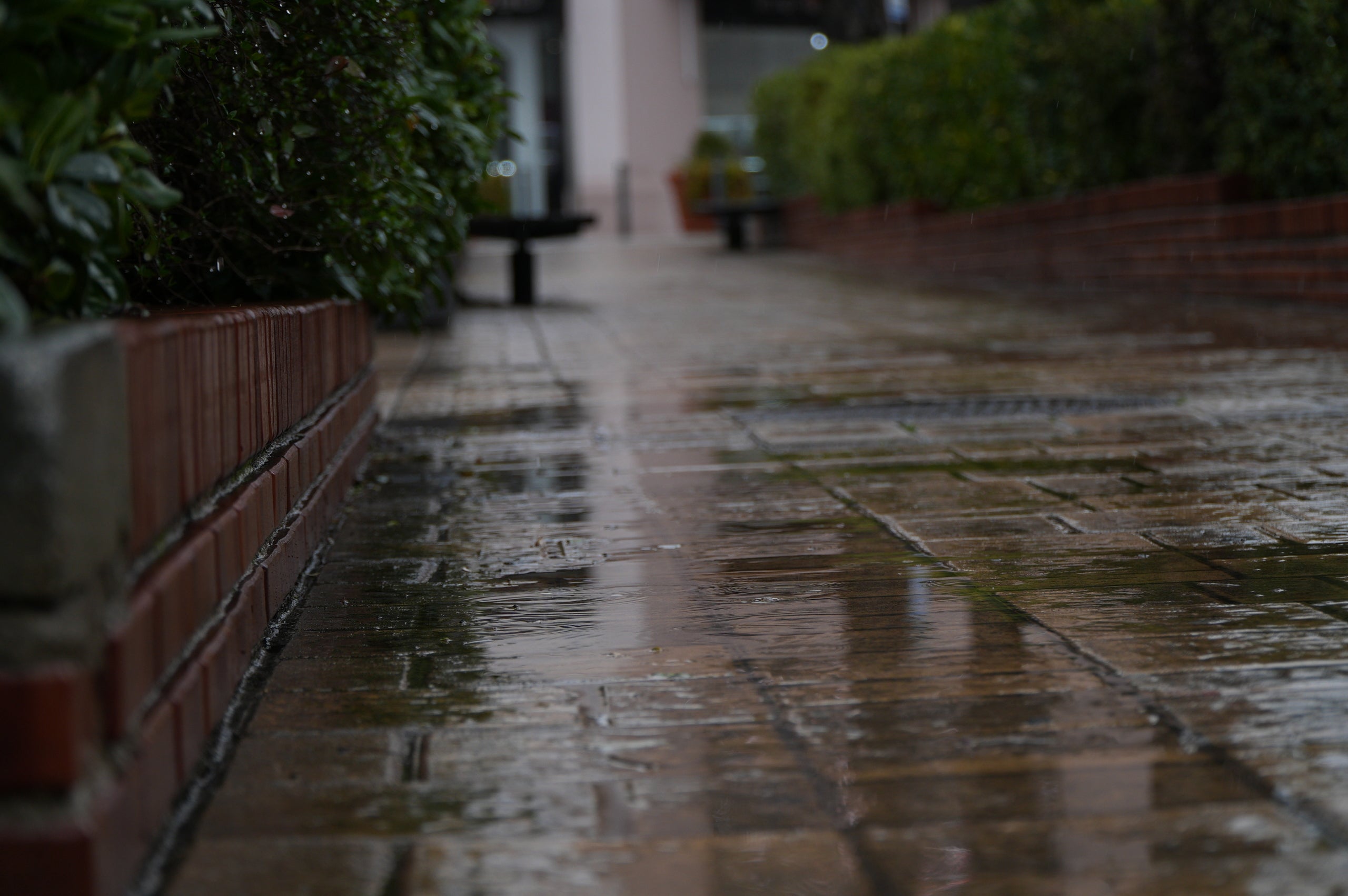 Dia de pluja a Terrassa | Jan Romero