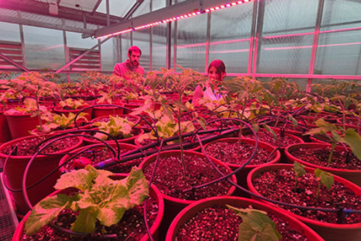 La UPC presenta a Terrassa 13 projectes de tecnologia agroalimentària amb solucions innovadores d'alt valor afegit | UPC