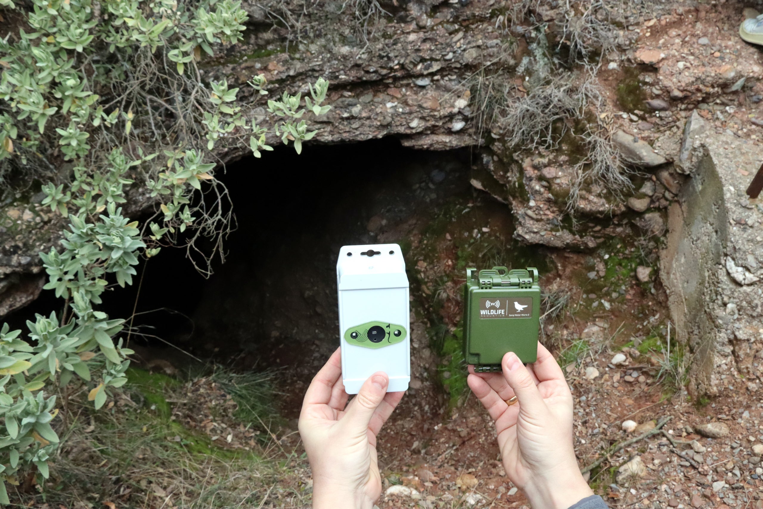 Els sensors i gravadors acústics utilitzats per a seguir la hivernació dels ratpenats en una cova del parc de Sant Llorenç del Munt | Mar Martí/ACN