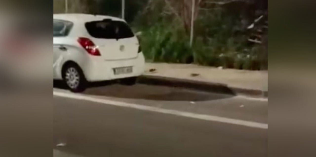 Les rates entrant en el solar del futur CUAP del Cementiri Vell | Cedida