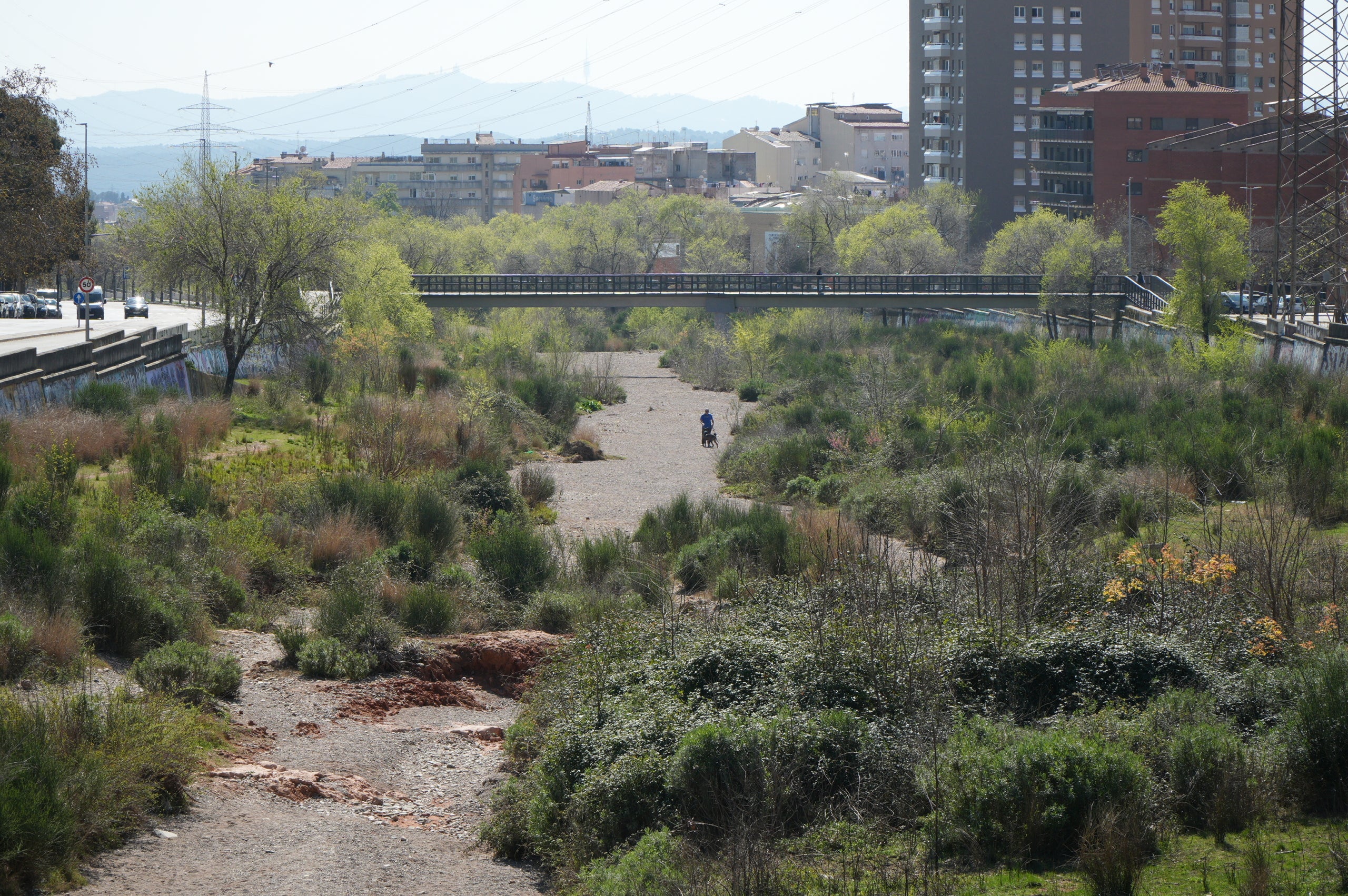 Riera de les Arenes de Terrassa | Jan Romero