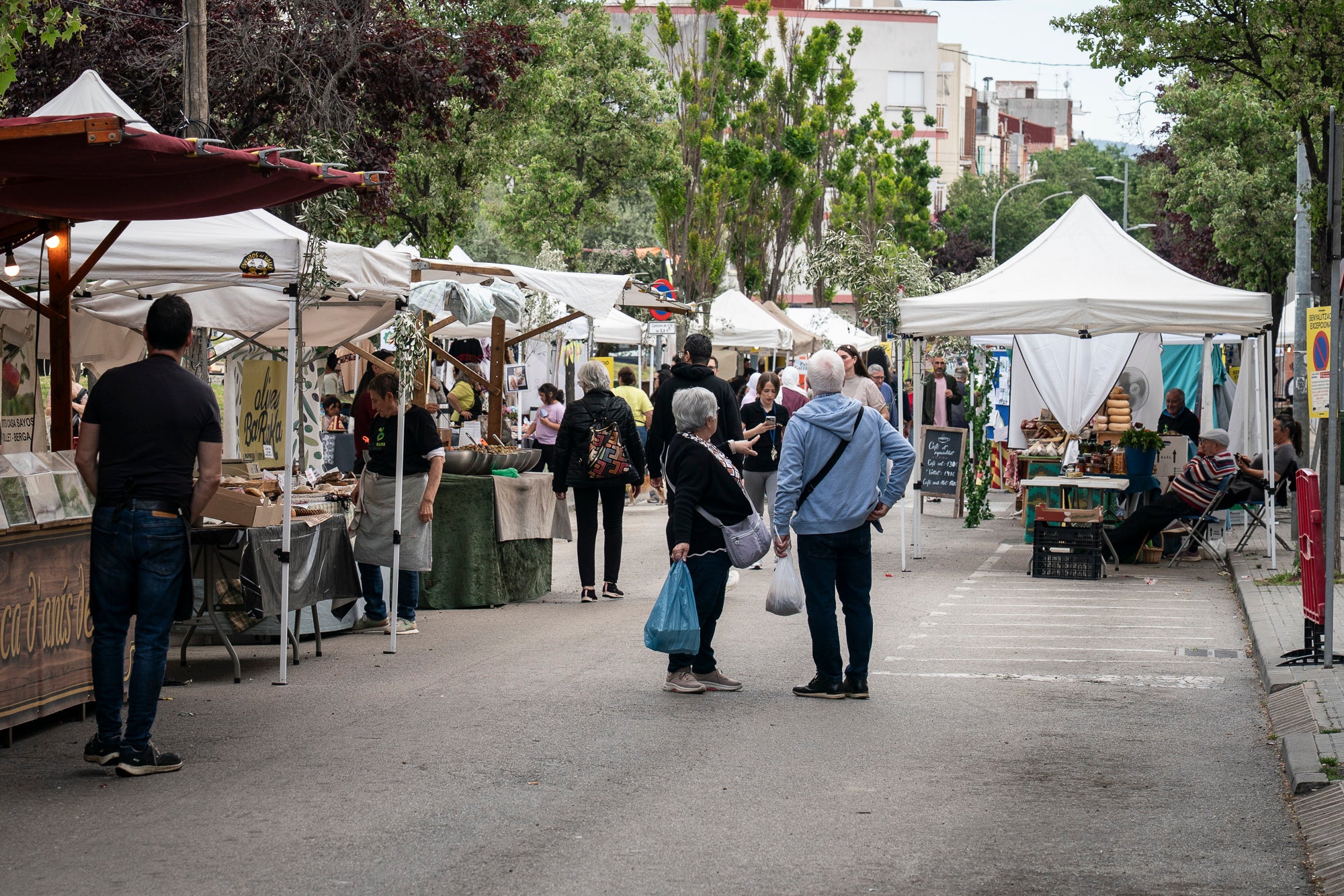L'onzena Fira de l'Oliva de Ca n'Anglada va celebrar aquest dissabte una jornada completa al voltant de la plaça del barri on el protagonista era, evidentment, el producte derivat de l'arbre indispensable per a la bona gastronomia en les seves versions més artesanals. Hi va haver nombroses parades de productors, entitats i comerços, visites guiades a la masia propera, tallers d'olis aromàtics i el tradicional concurs de llançament de pinyol amb la boca. I, simultàniament, actuacions musicals a càrrec de l'Agrupación San José i el Coro Nazareno o el duo de pop Lua Cheia, entre altres. Alhora, la Ruta de la Tapa per deu bars i restaurants de Ca n'Anglada continua encara fins a aquest diumenge | Mireia Comas